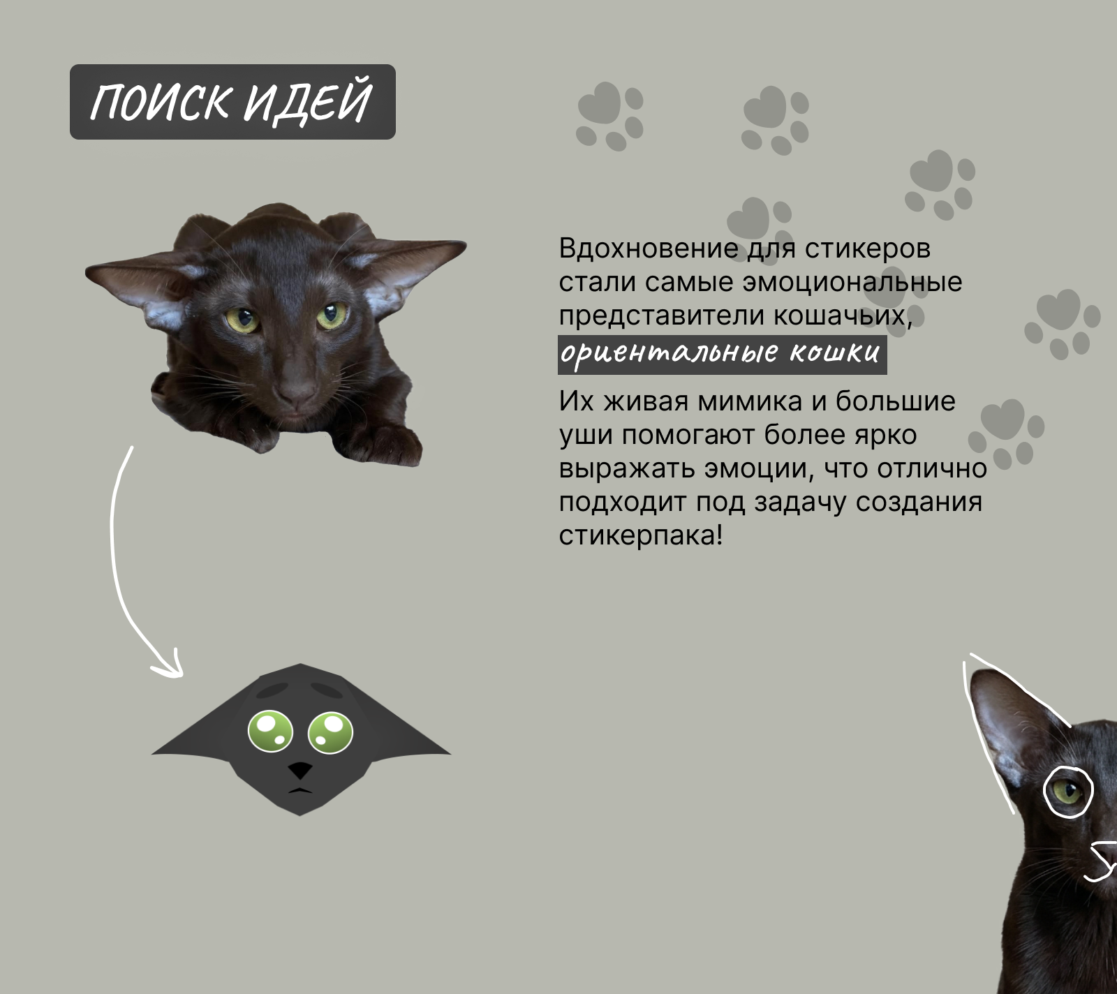 Анимированные стикеры для Телеграм «Черный кот» — Изображение №1 — Анимация на Dprofile