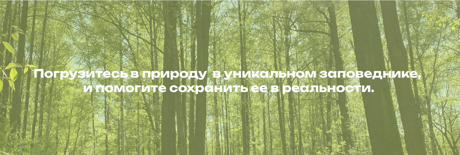 EcoVerse-цифровой заповедник — Изображение №13 — Интерфейсы, Брендинг на Dprofile