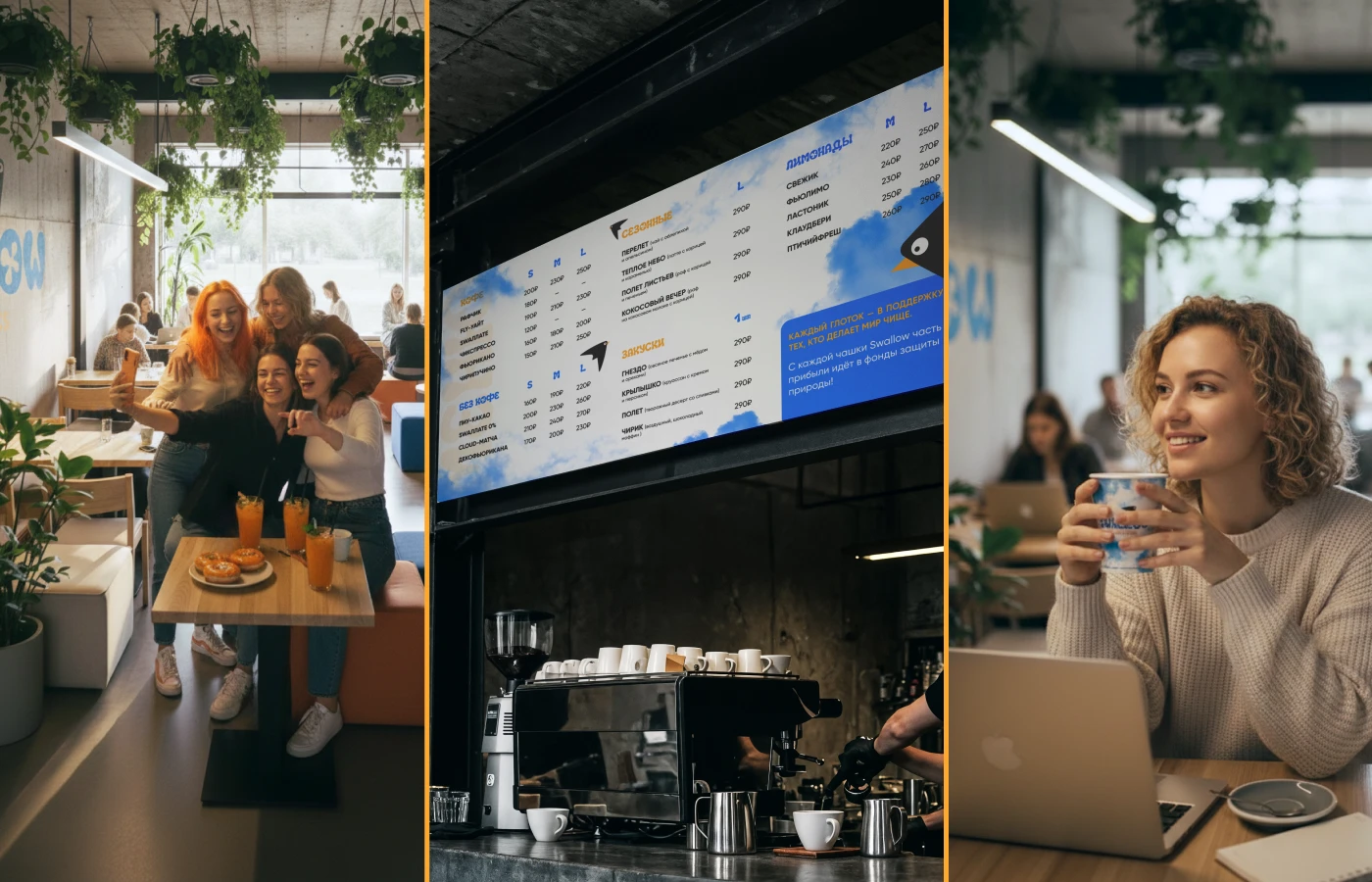 Swallow: Айдентика бренда Fresh-кофеен — Изображение №5 — Брендинг на Dprofile