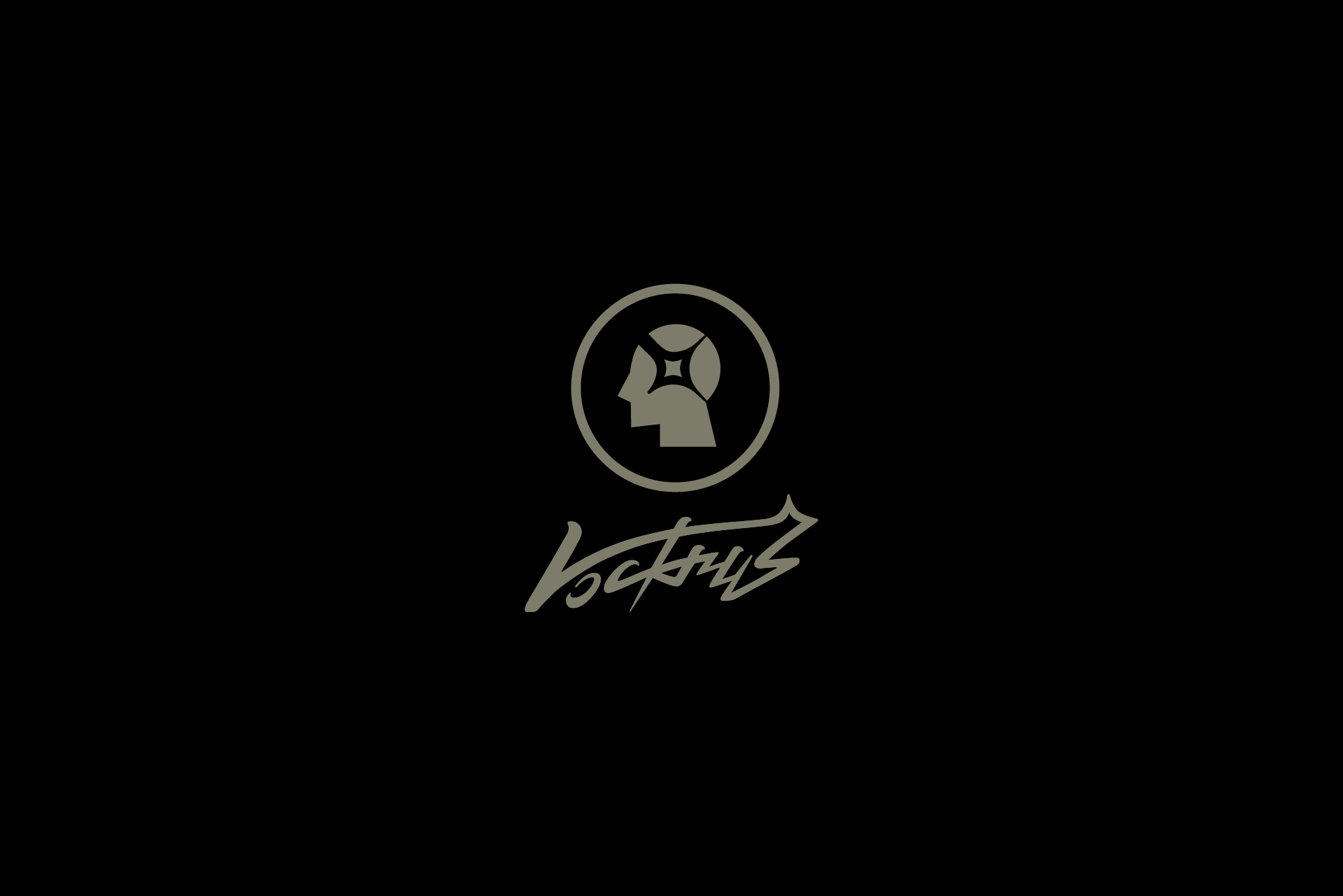 ФИРМЕННЫЙ СТИЛЬ ДЛЯ STREETWEAR БРЕНДА «VOCKRUS» — Изображение №3 — Брендинг на Dprofile