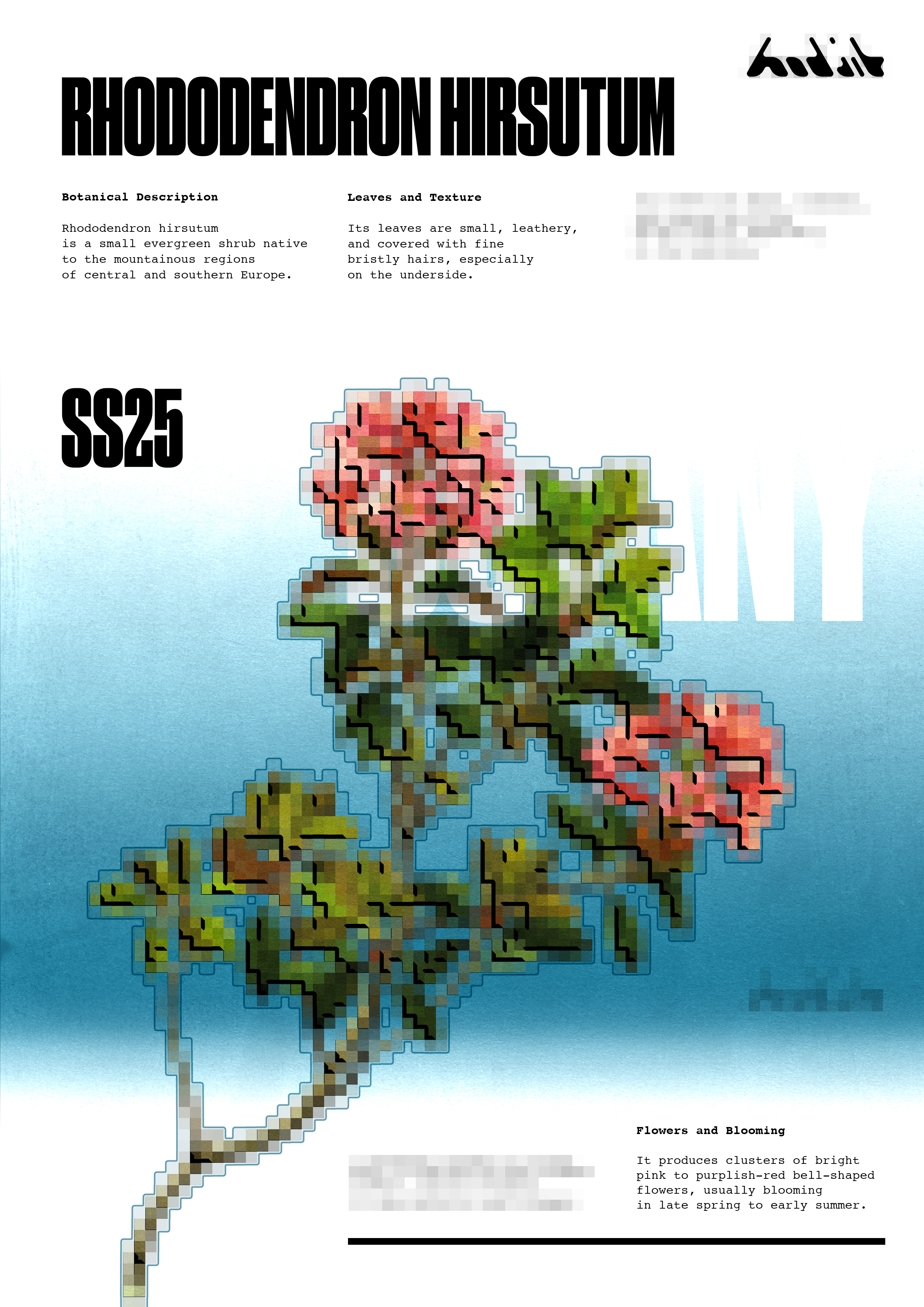 BOTANY – серия плакатов — Изображение №3 — Графика, Маркетинг на Dprofile