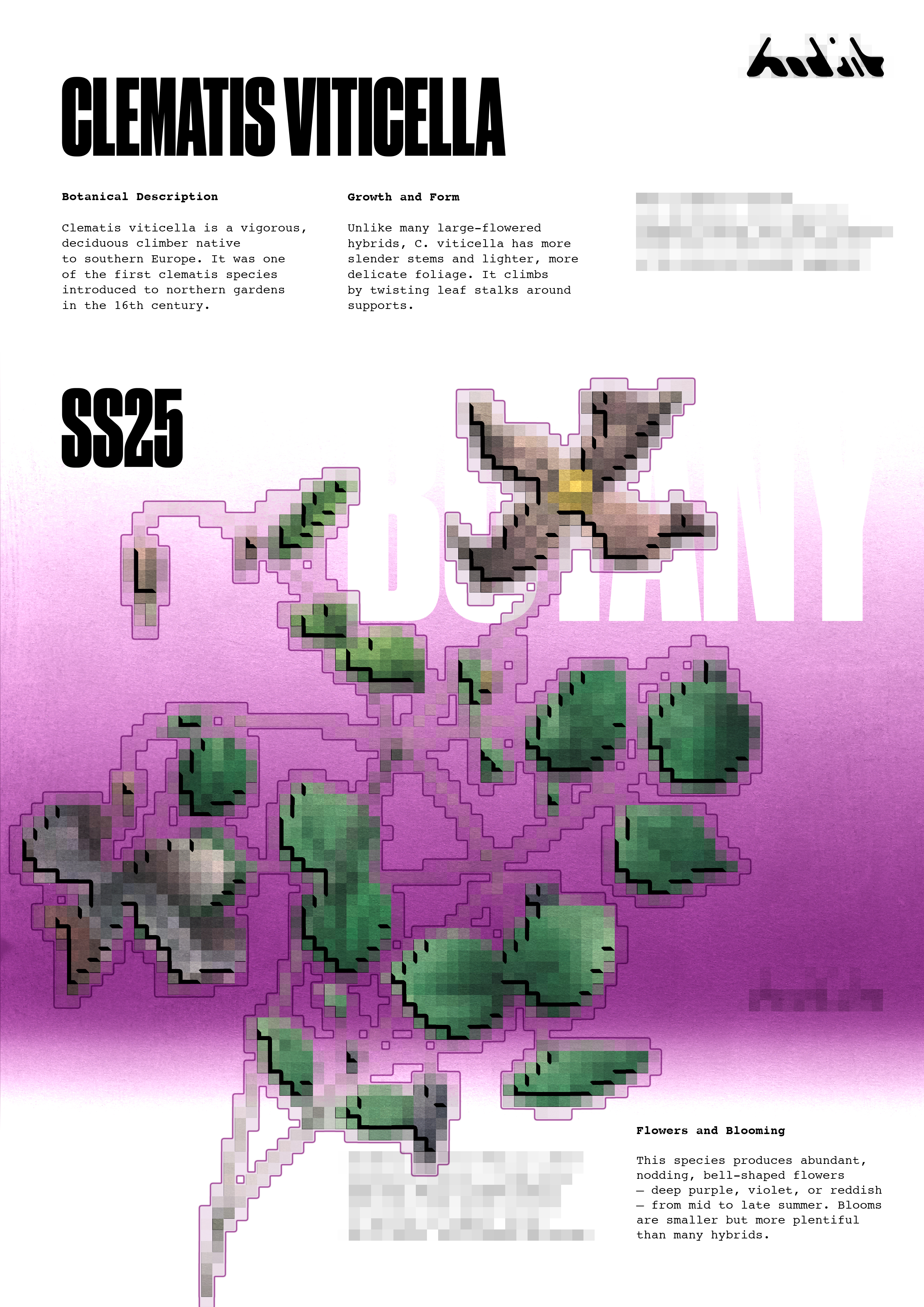 BOTANY – серия плакатов — Изображение №4 — Графика, Маркетинг на Dprofile