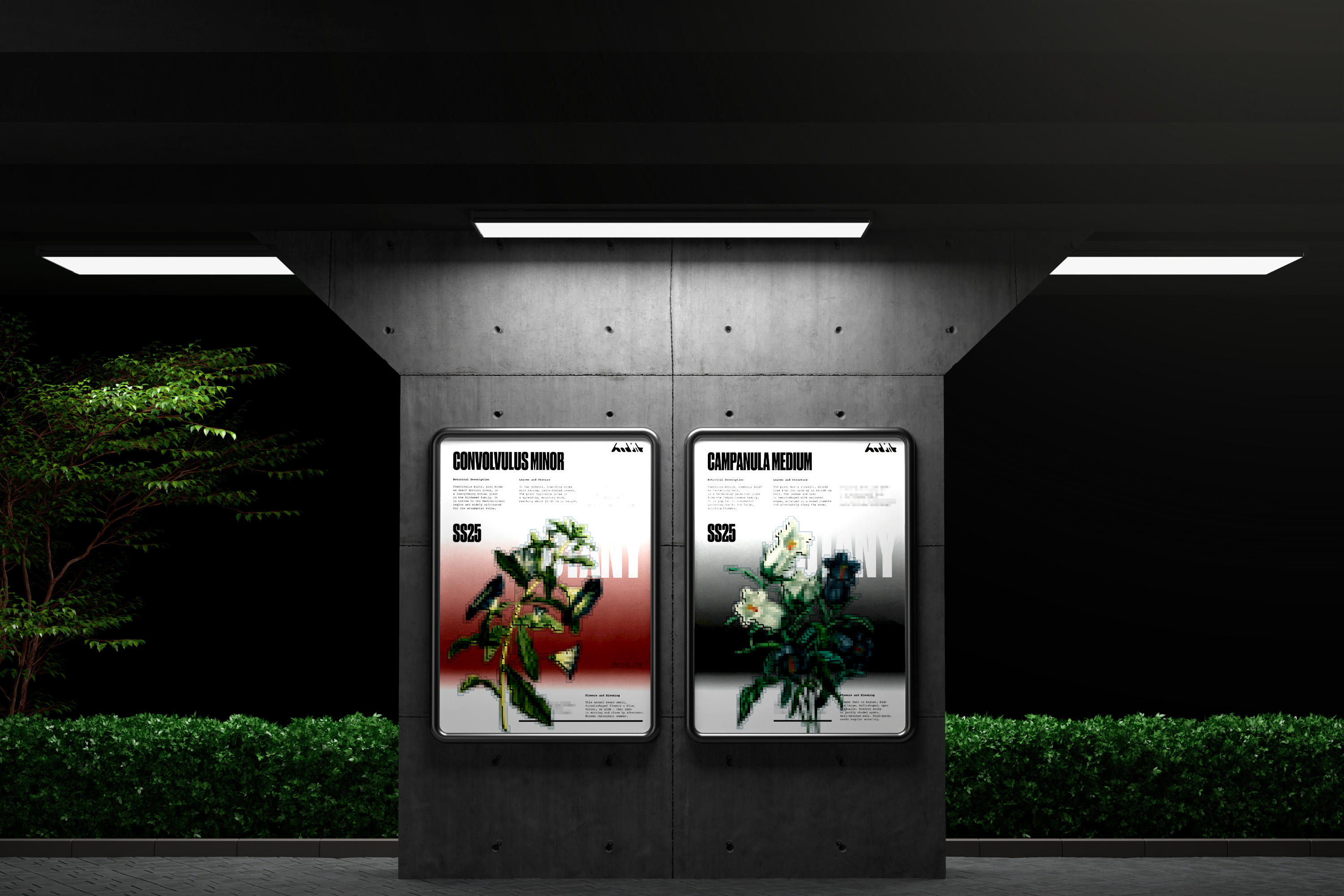 BOTANY – серия плакатов — Изображение №2 — Графика, Маркетинг на Dprofile