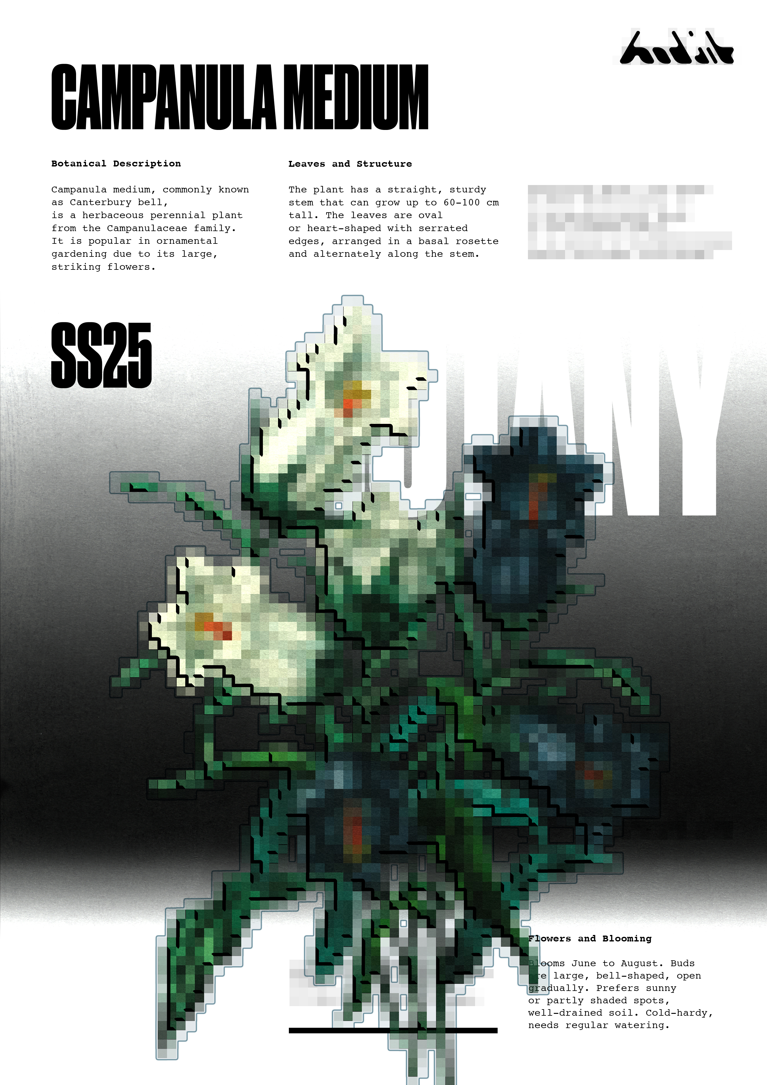 BOTANY – серия плакатов — Изображение №8 — Графика, Маркетинг на Dprofile