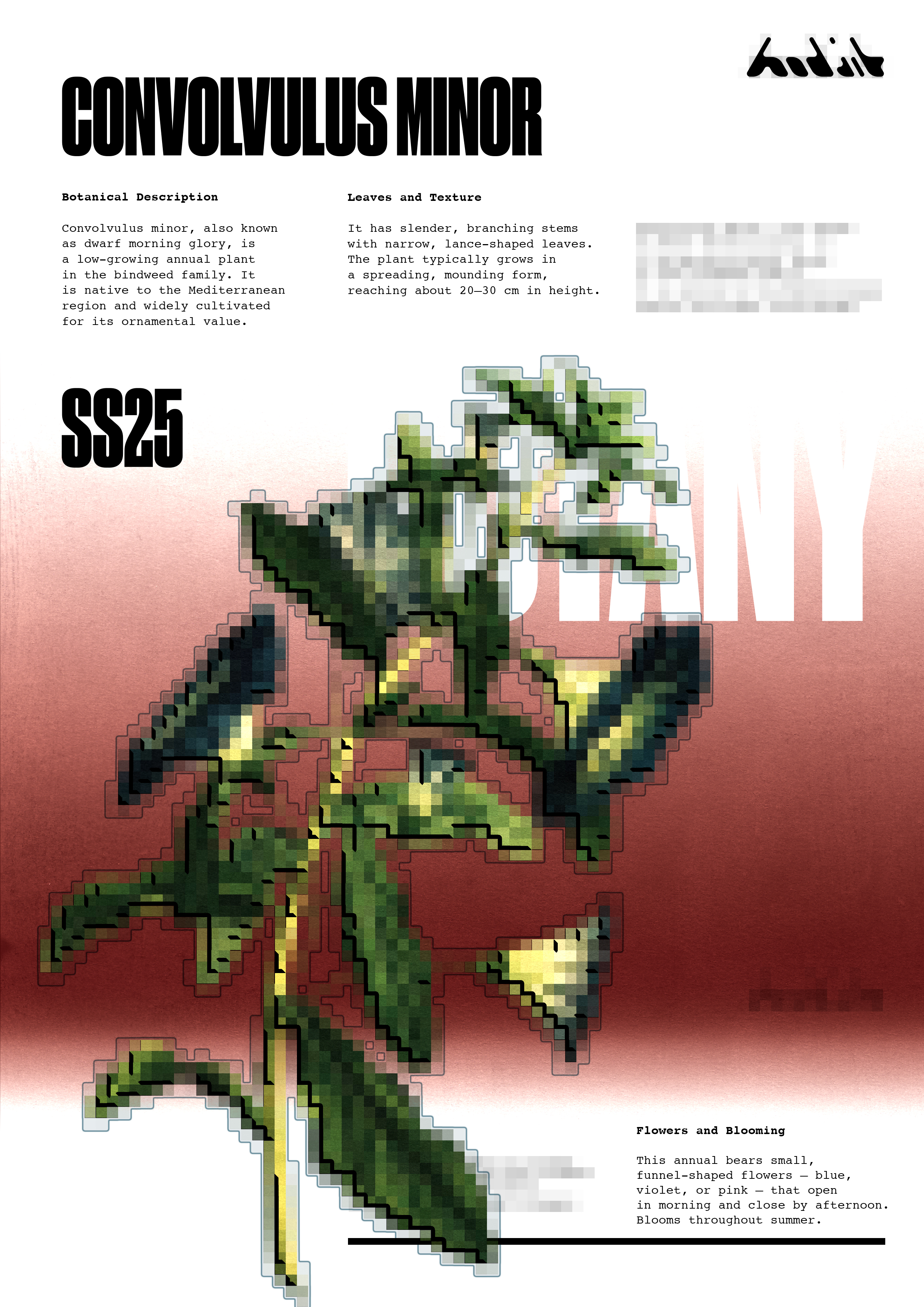 BOTANY – серия плакатов — Изображение №7 — Графика, Маркетинг на Dprofile