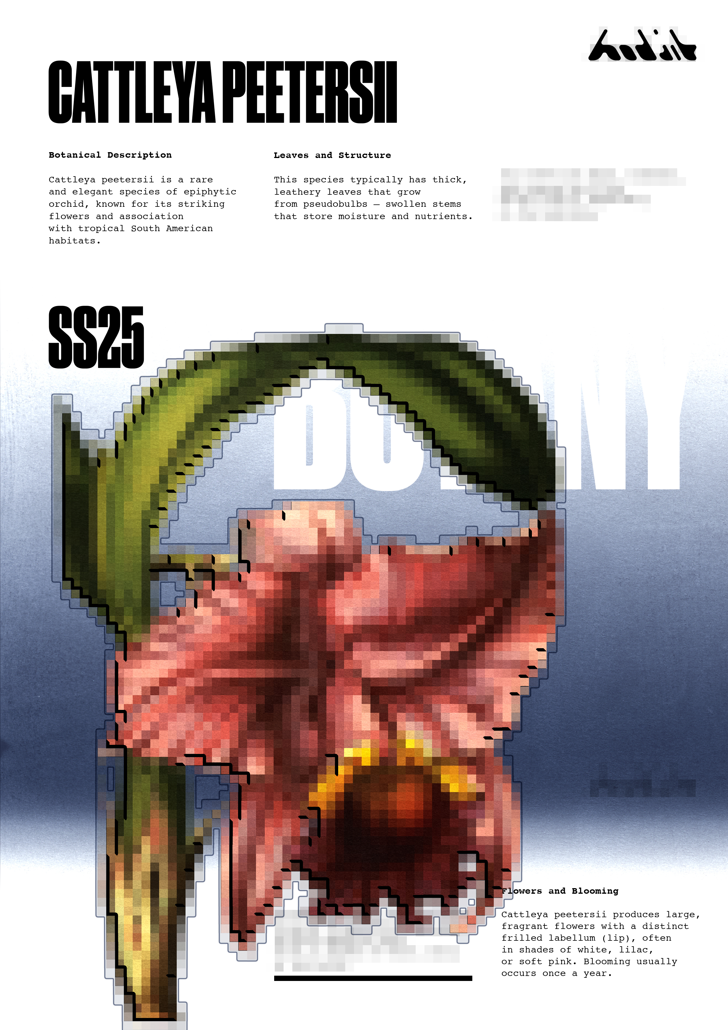 BOTANY – серия плакатов — Изображение №5 — Графика, Маркетинг на Dprofile