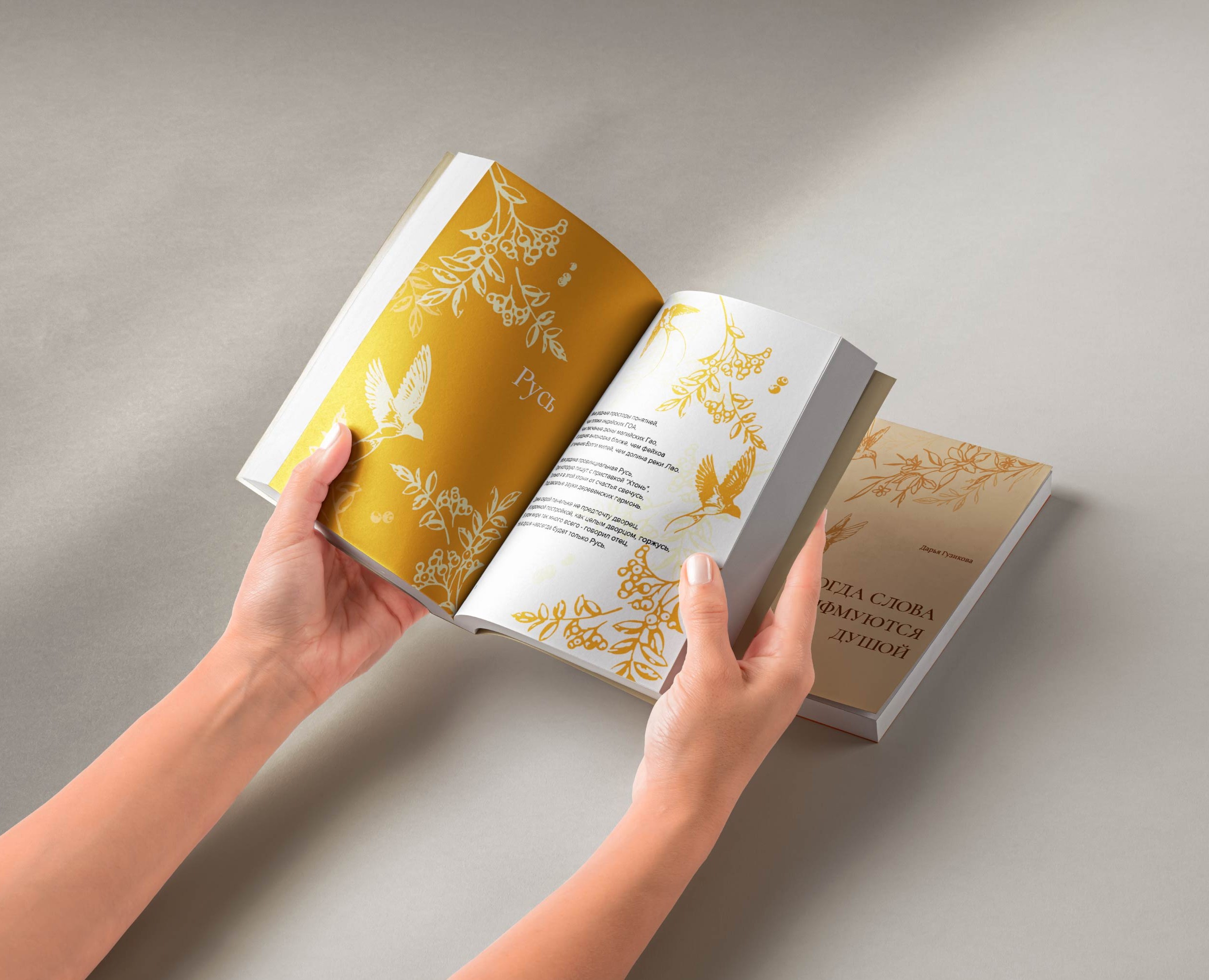 Разработка дизайн-проекта книжного издания — Графика на Dprofile