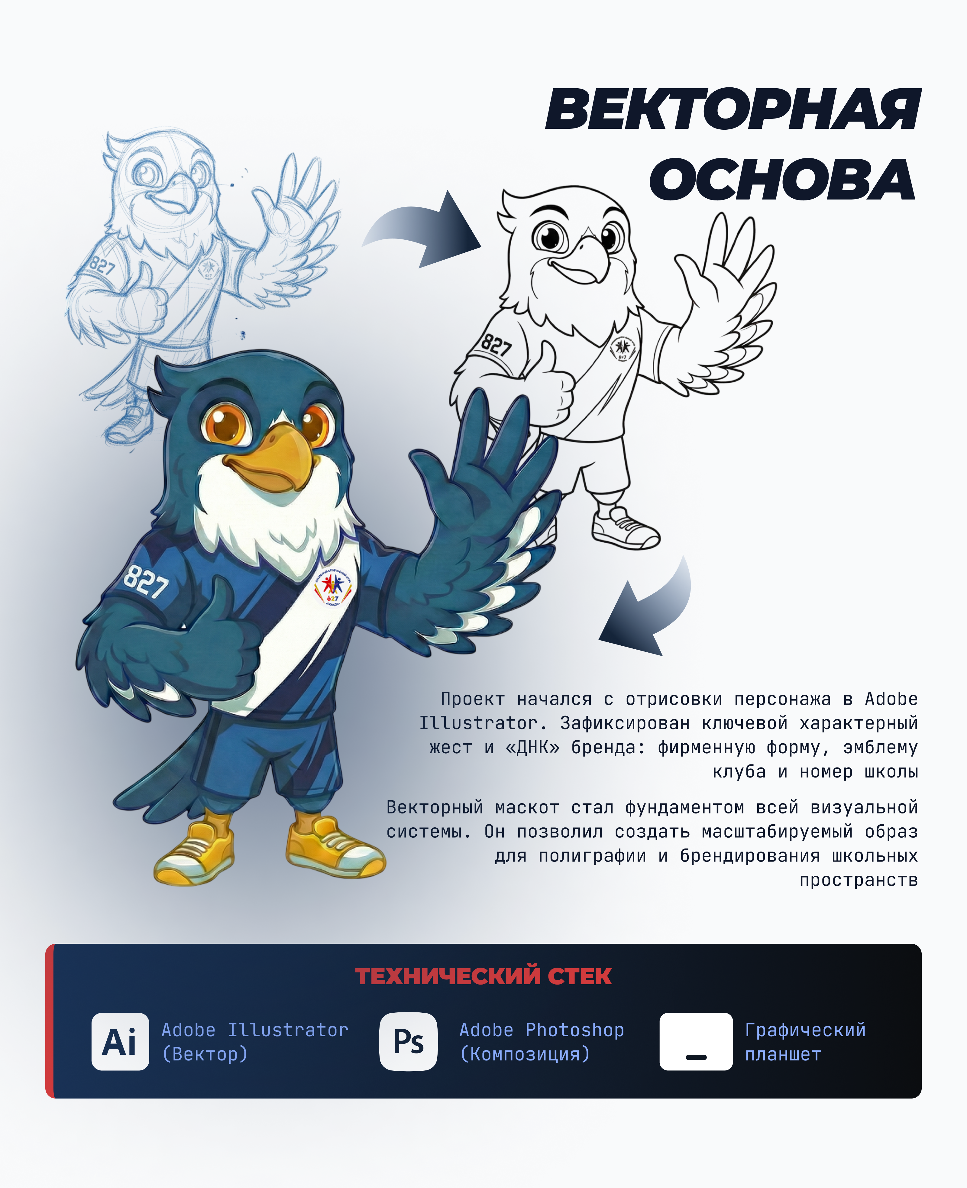 СОКОЛ — Дизайн маскота и визуальная экосистема. — Изображение №4 — Брендинг, Иллюстрация на Dprofile