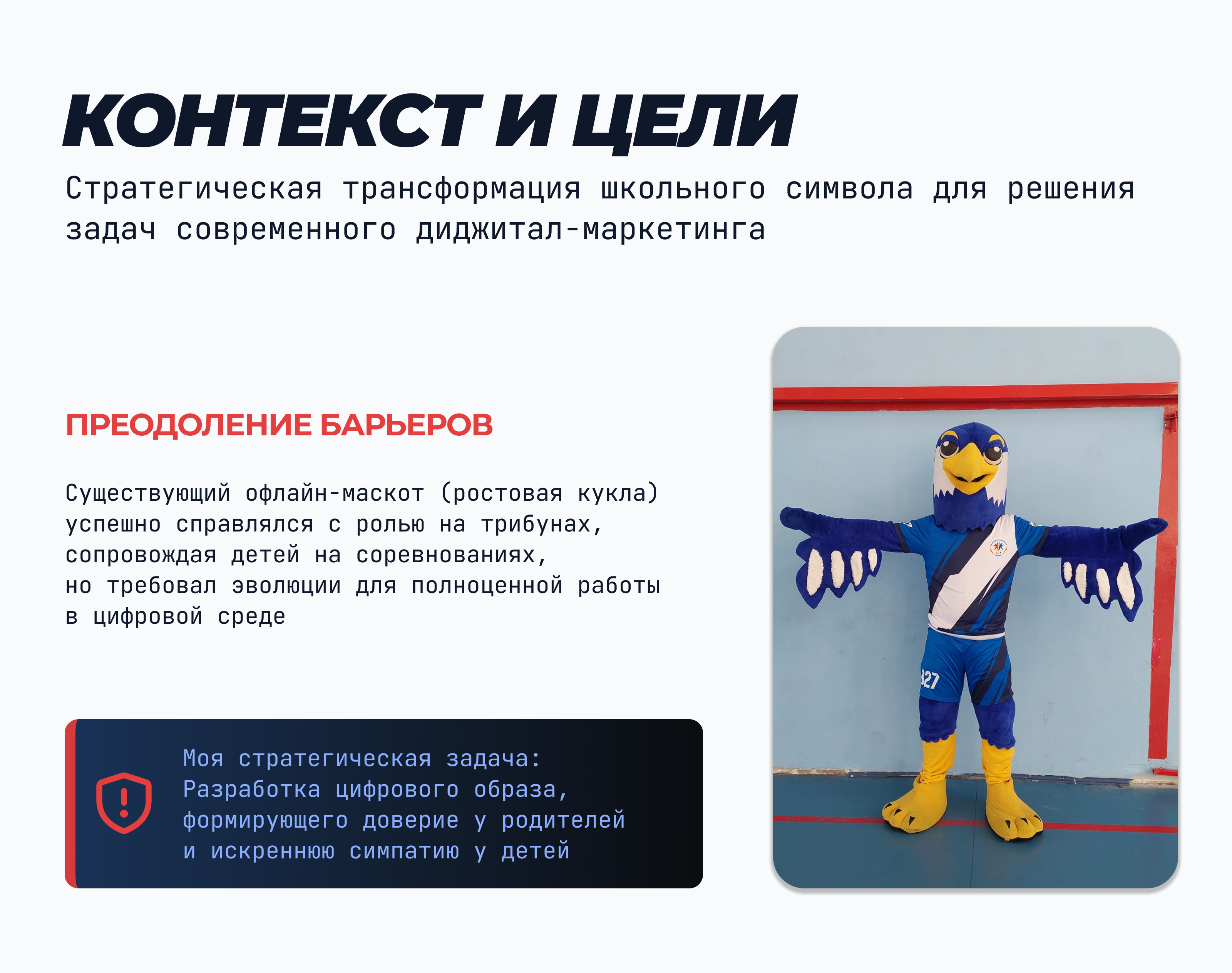 СОКОЛ — Дизайн маскота и визуальная экосистема. — Изображение №2 — Брендинг, Иллюстрация на Dprofile