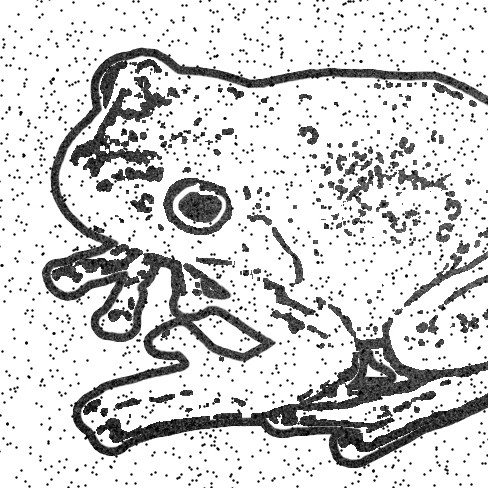 Аватар пользователя Мария Копылова