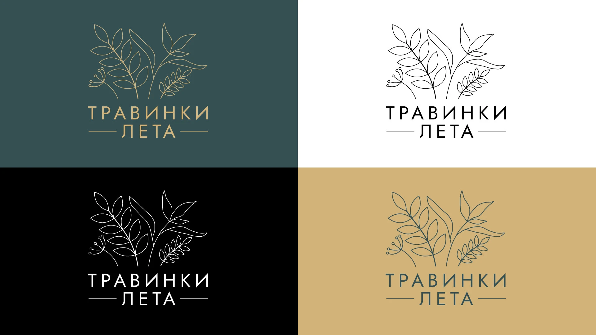 ТРАВИНКИ ЛЕТА | LOGO DESIGN — Изображение №6 — Брендинг на Dprofile