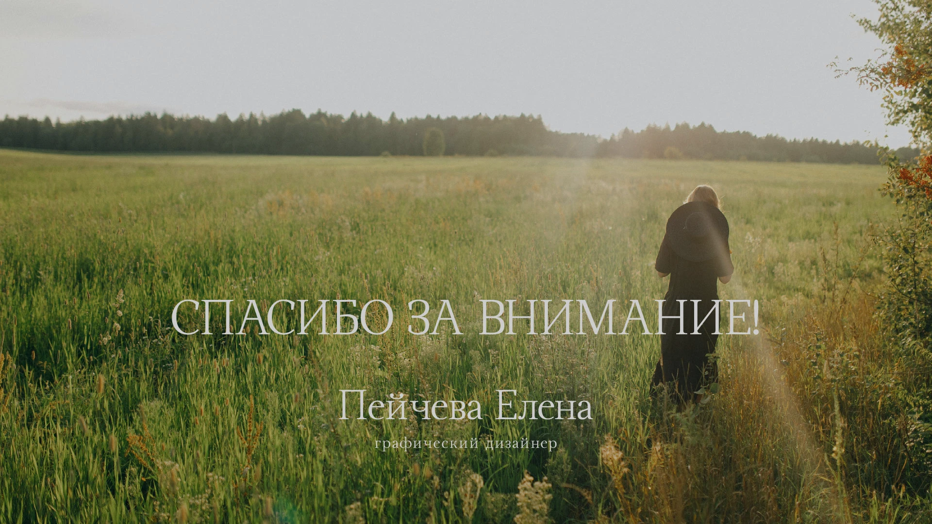 ТРАВИНКИ ЛЕТА | LOGO DESIGN — Изображение №12 — Брендинг на Dprofile