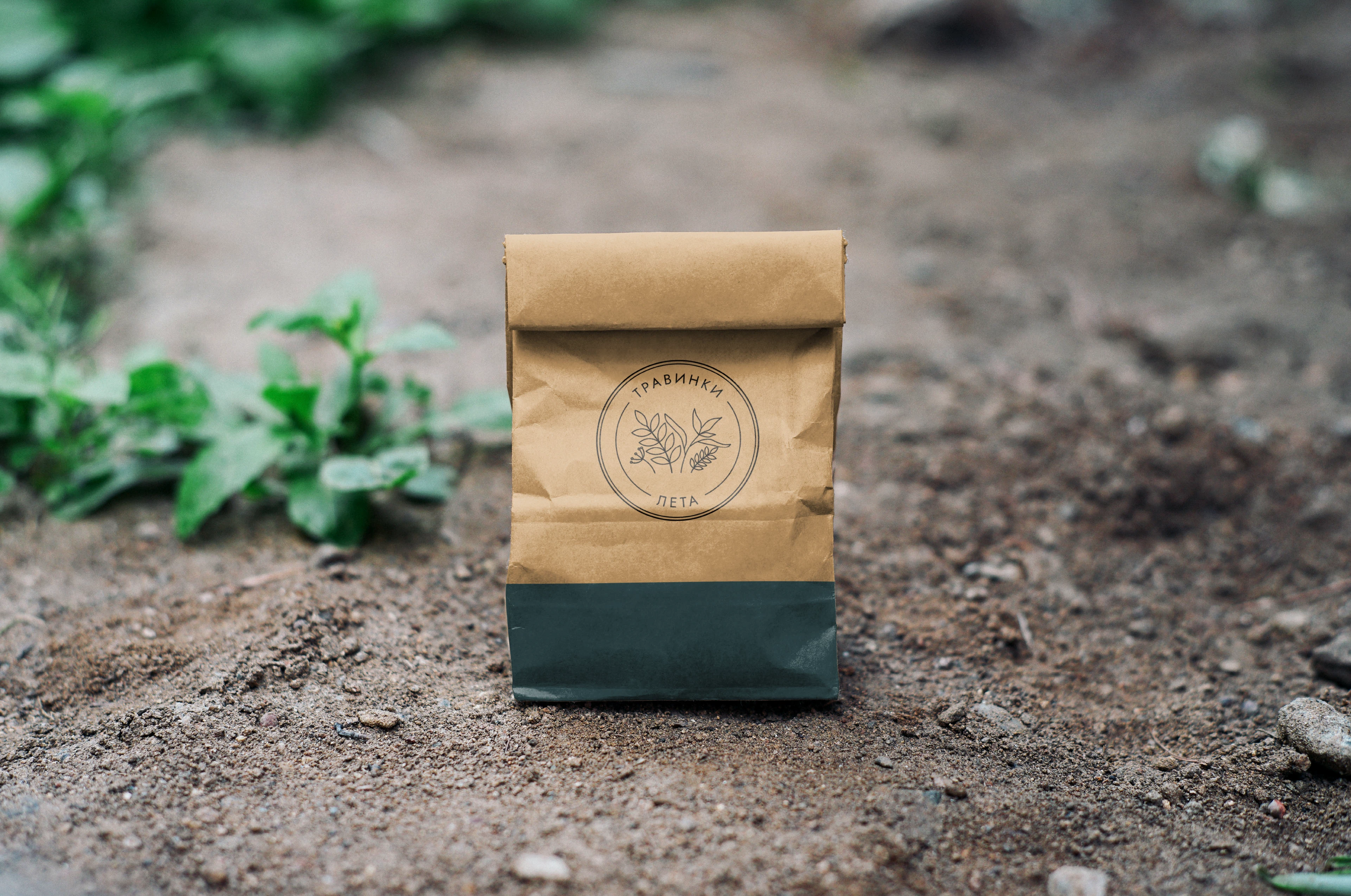 ТРАВИНКИ ЛЕТА | LOGO DESIGN — Изображение №11 — Брендинг на Dprofile