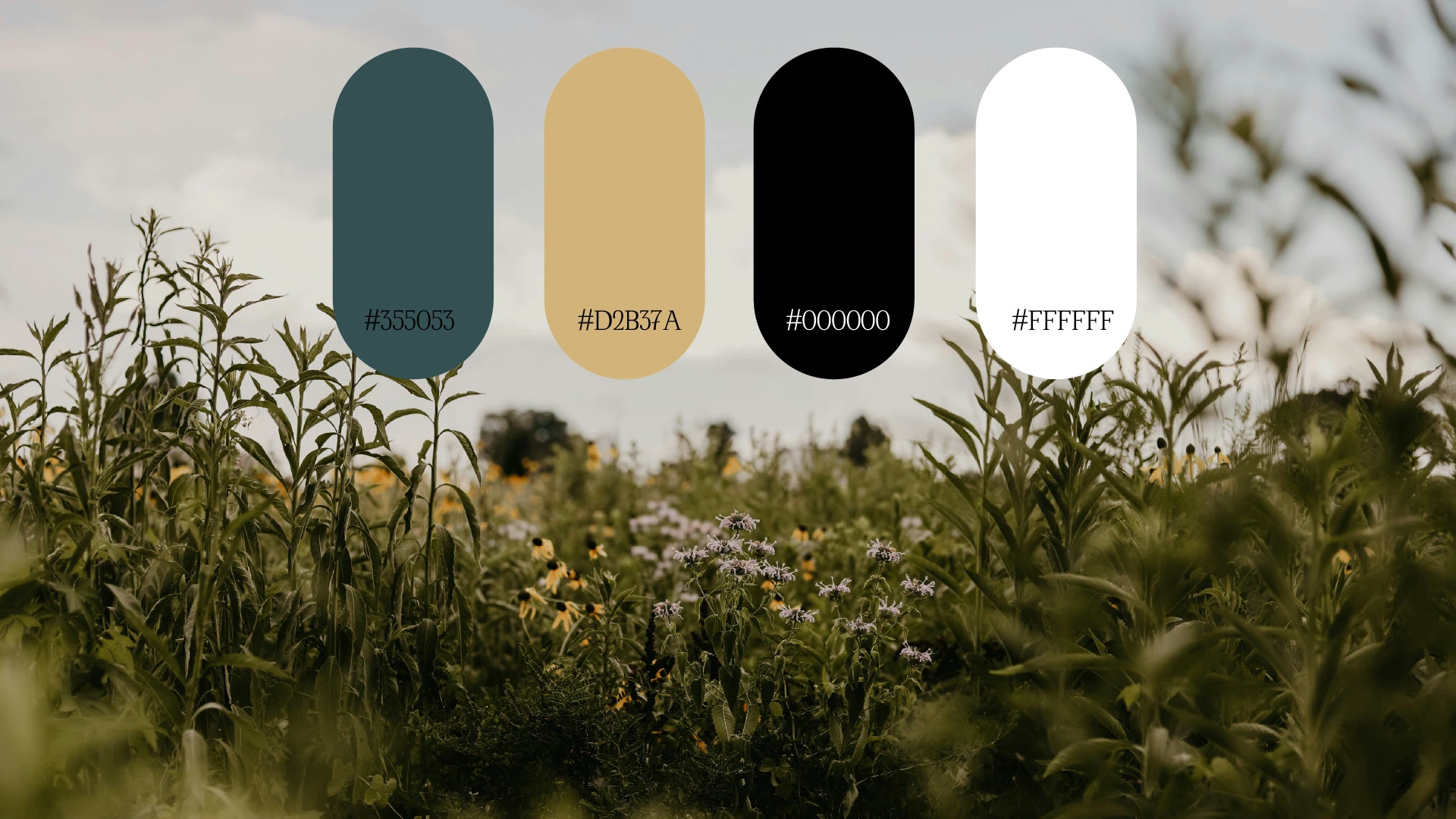 ТРАВИНКИ ЛЕТА | LOGO DESIGN — Изображение №7 — Брендинг на Dprofile