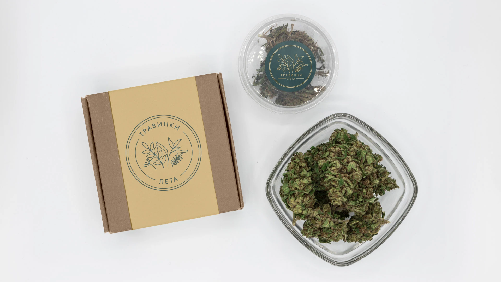 ТРАВИНКИ ЛЕТА | LOGO DESIGN — Изображение №9 — Брендинг на Dprofile