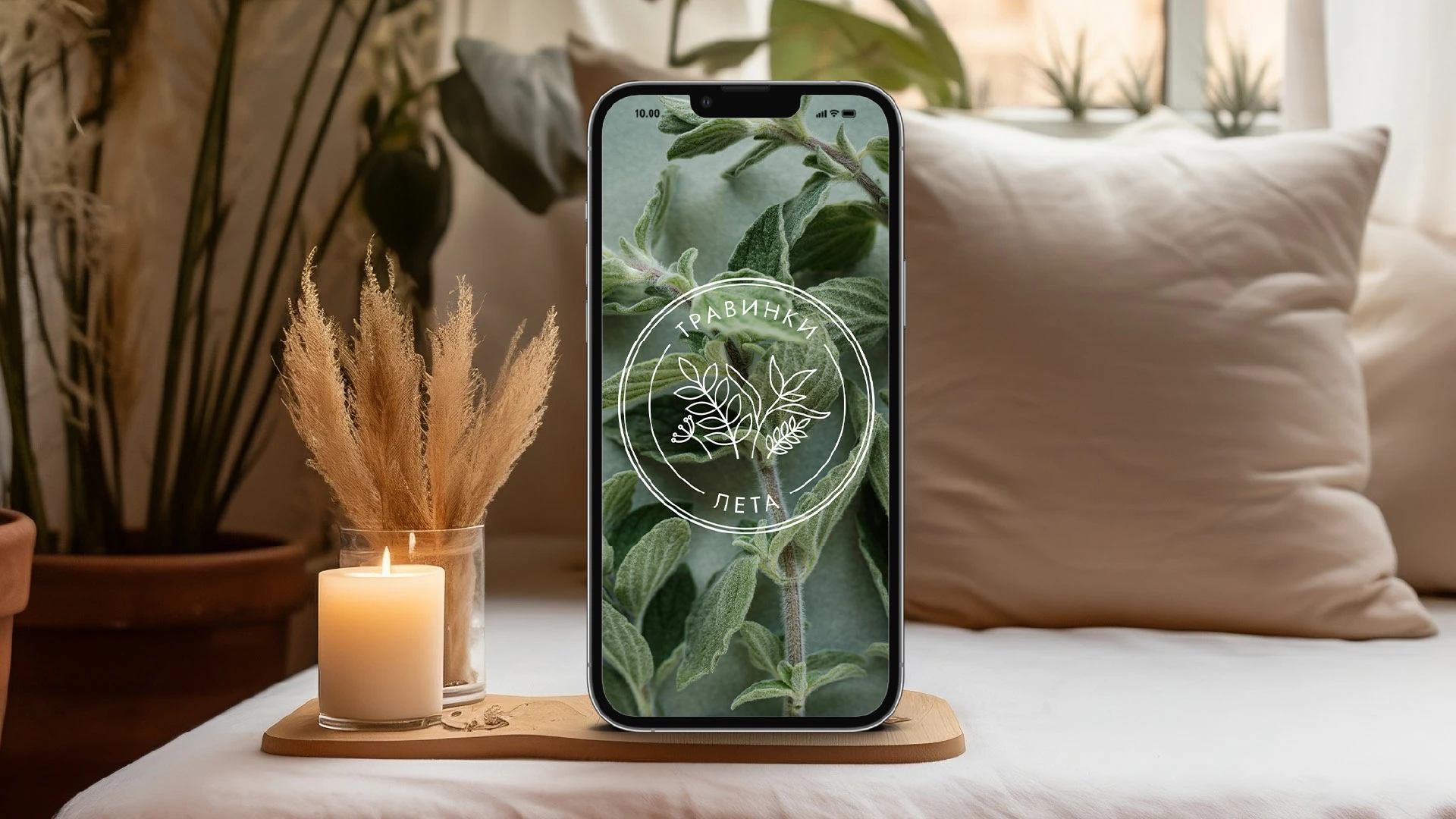 ТРАВИНКИ ЛЕТА | LOGO DESIGN — Изображение №10 — Брендинг на Dprofile