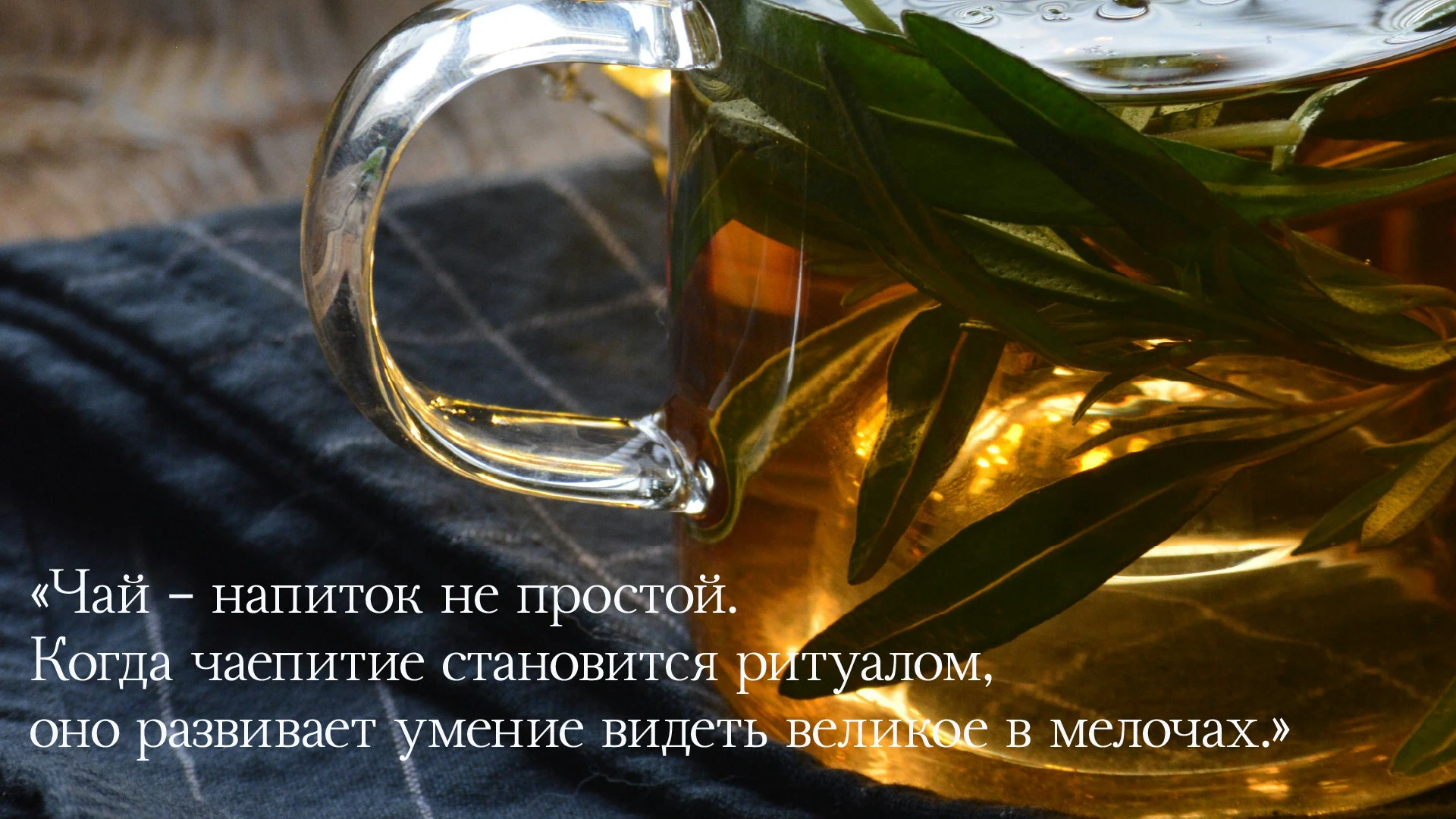 ТРАВИНКИ ЛЕТА | LOGO DESIGN — Изображение №1 — Брендинг на Dprofile