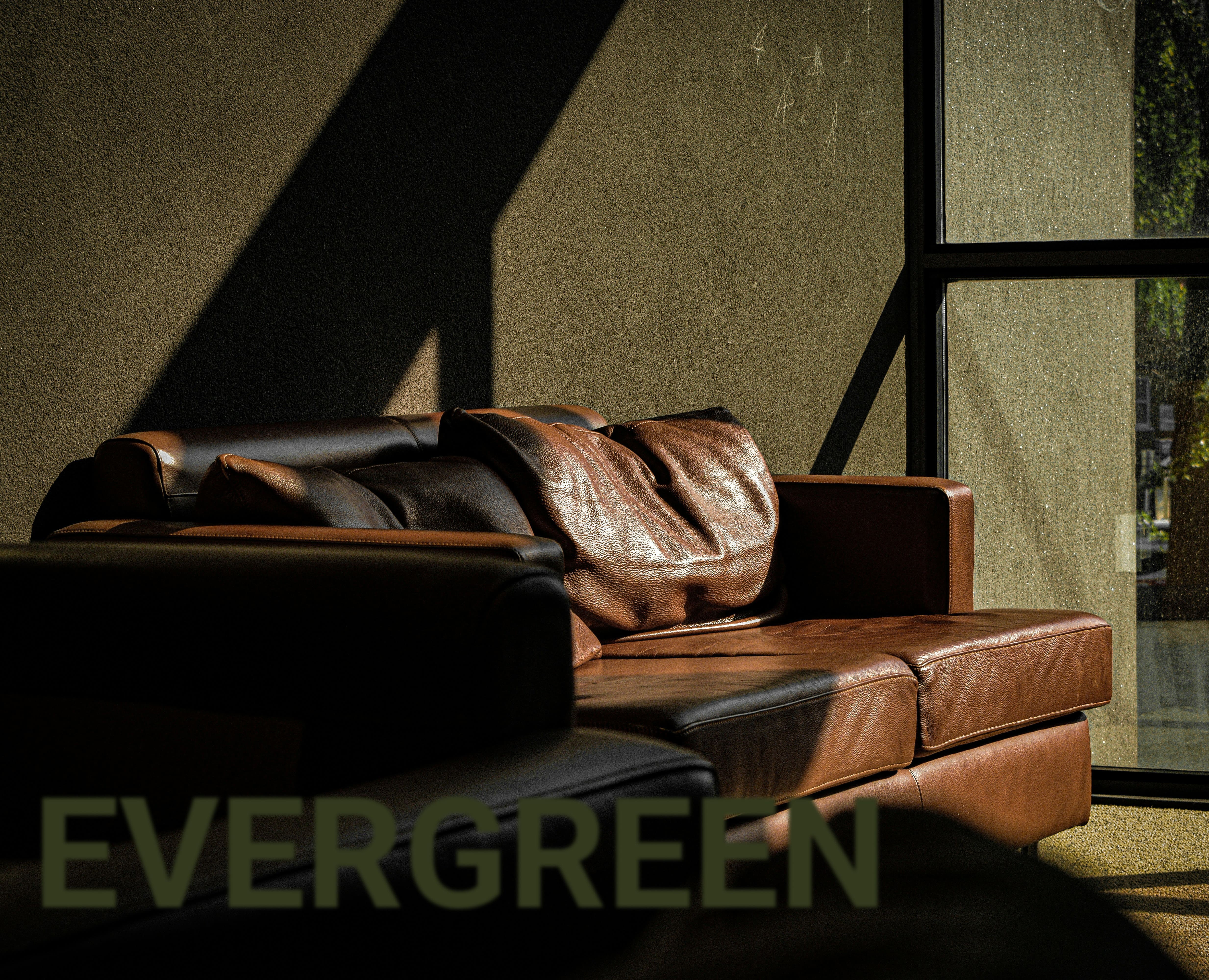 EVERGREEN/Сottage village identity/Айдентика на Dprofile