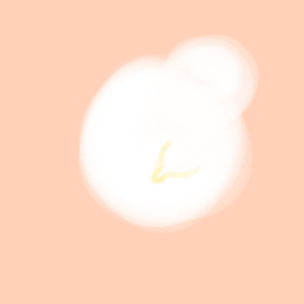 Набор паттернов "домашние птицы" — Изображение №4 — Брендинг, Промдизайн на Dprofile