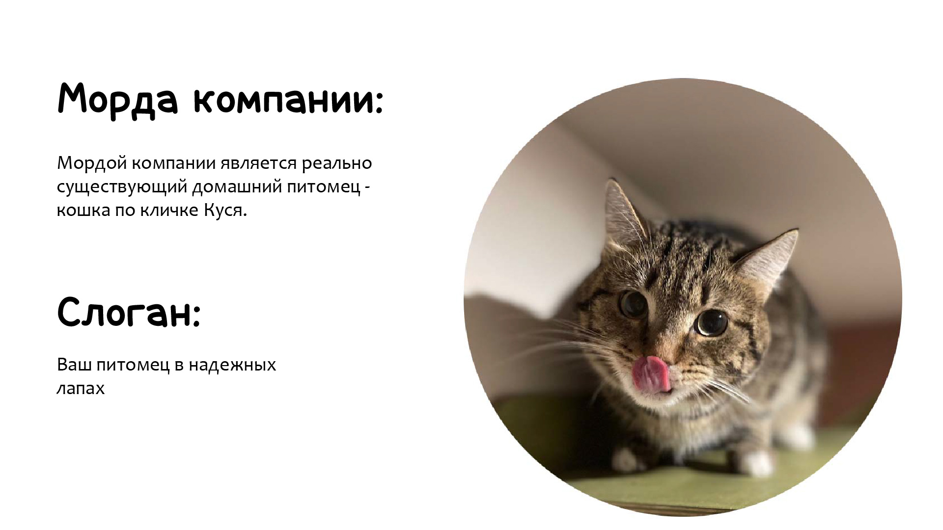 Фирменный стиль кошачьей косметики — Изображение №4 — Брендинг, Иллюстрация на Dprofile