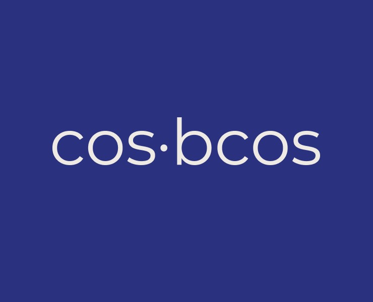 Фирменный стиль косметика COS:BCOS — Брендинг на Dprofile