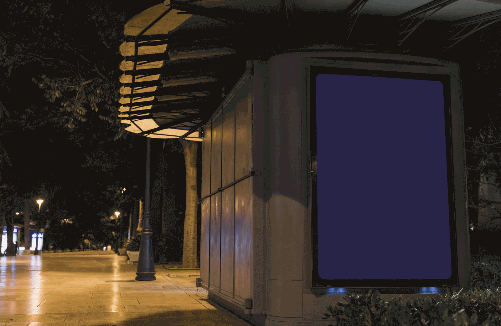 Мультимедийная афиша для фонда "Бельканто" — Изображение №3 — Графика, Анимация на Dprofile