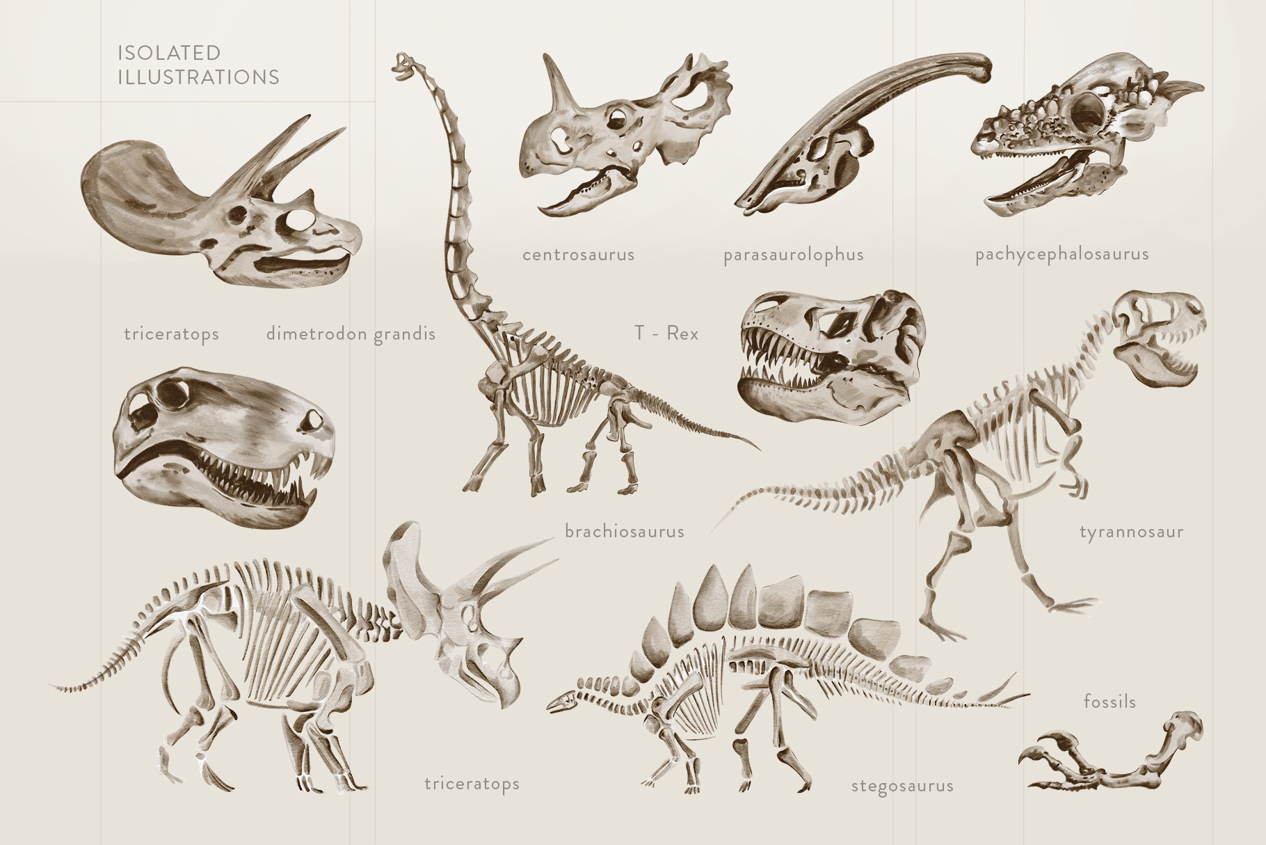 Скелеты динозавров акварельные иллюстрации — Изображение №1 — Брендинг на Dprofile