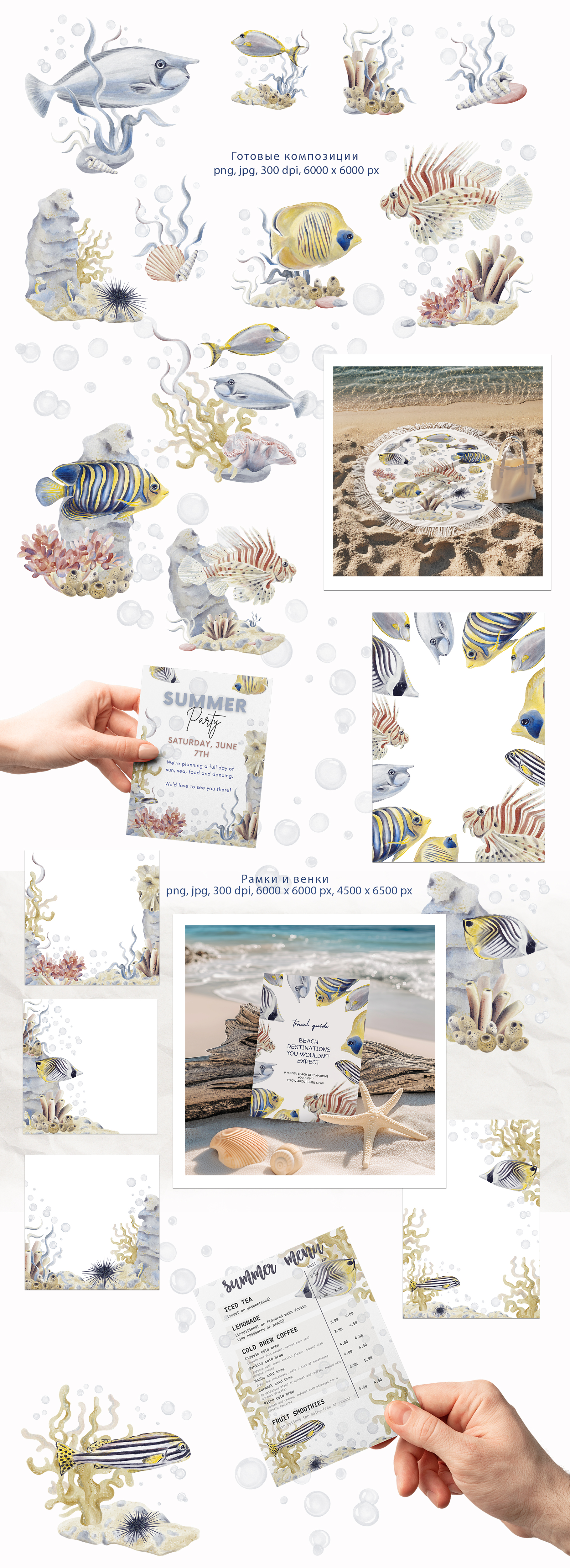 Тропические рыбы акварельные иллюстрации — Изображение №2 — Брендинг, Графика на Dprofile