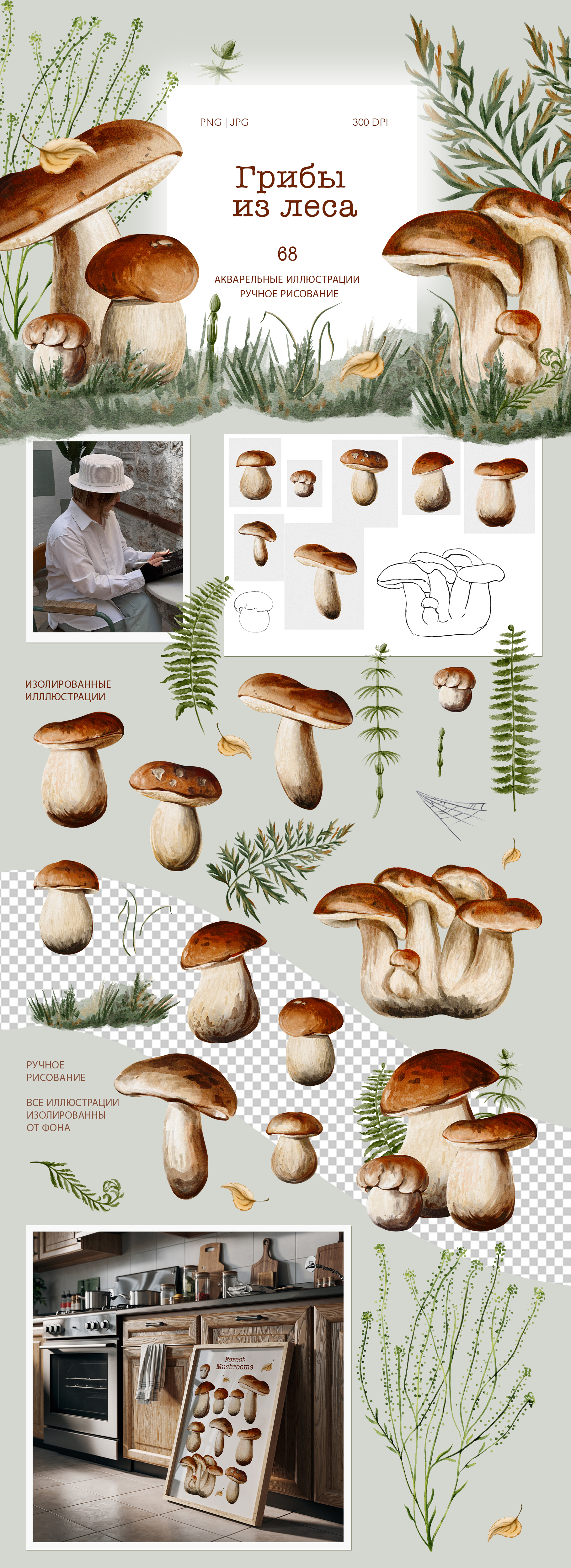 Грибы из леса — Изображение №1 — Брендинг на Dprofile