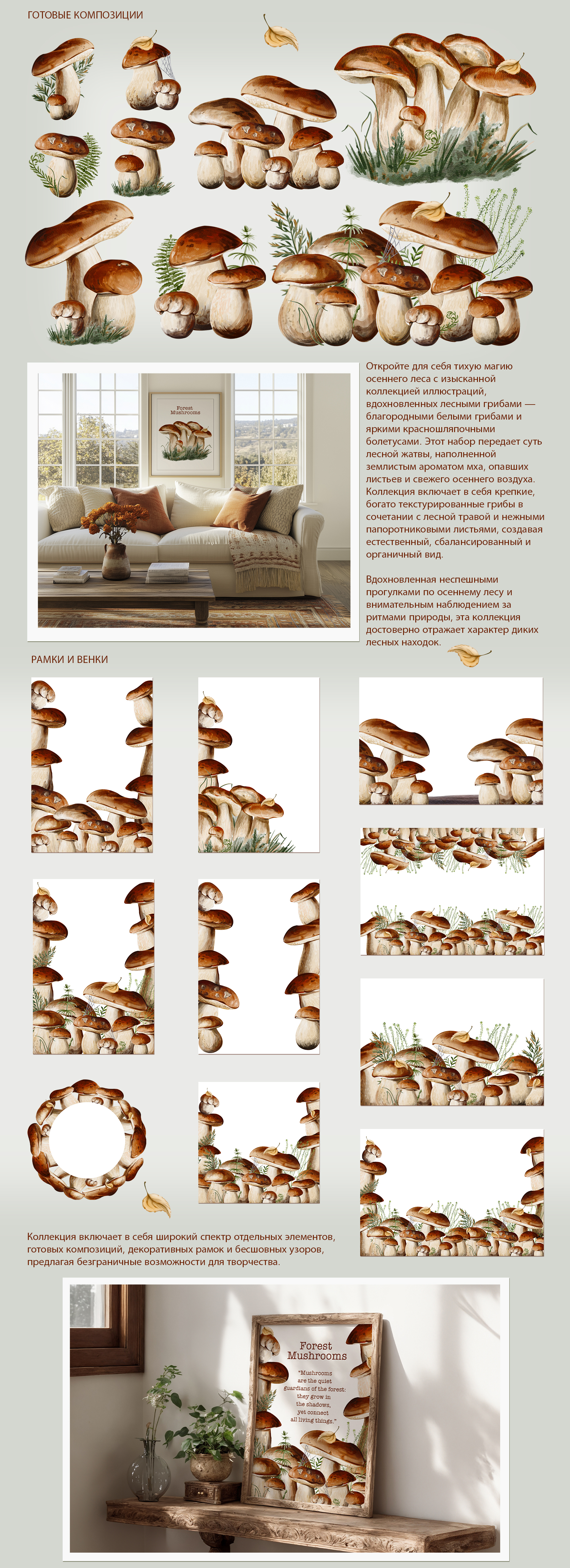 Грибы из леса — Изображение №2 — Брендинг на Dprofile