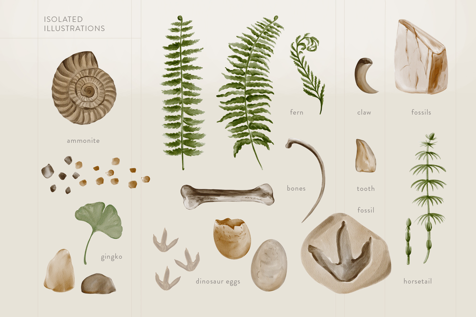 Скелеты динозавров акварельные иллюстрации — Изображение №3 — Брендинг на Dprofile