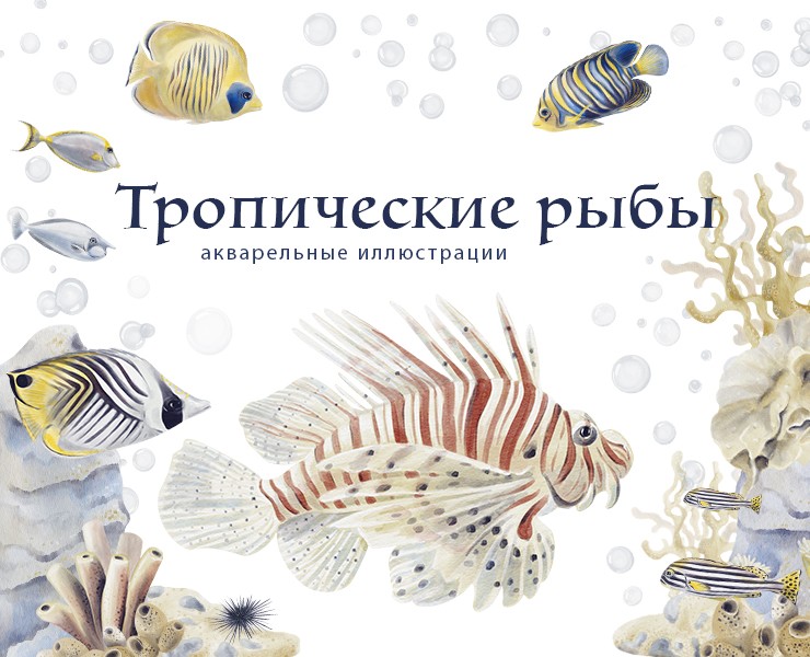 Тропические рыбы акварельные иллюстрации — Брендинг, Графика на Dprofile