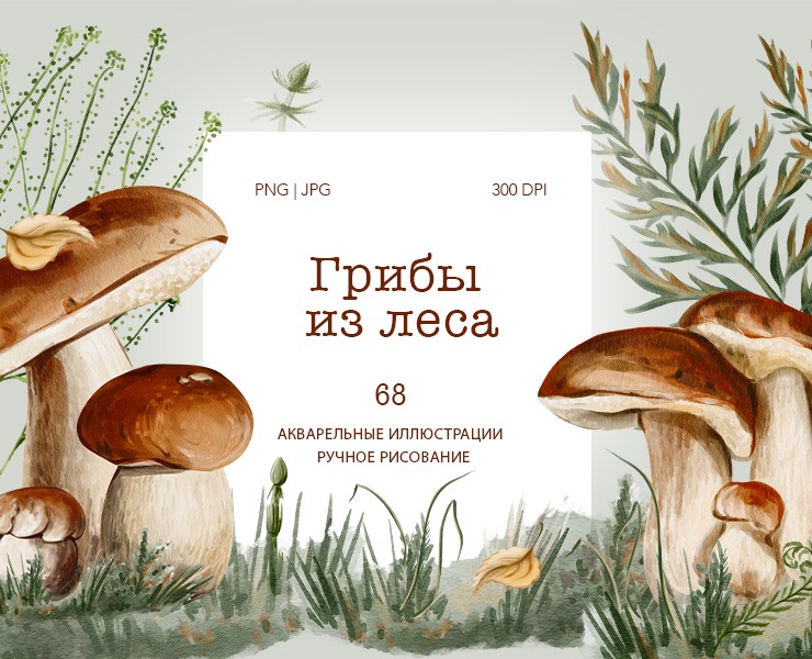 Грибы из леса на Dprofile