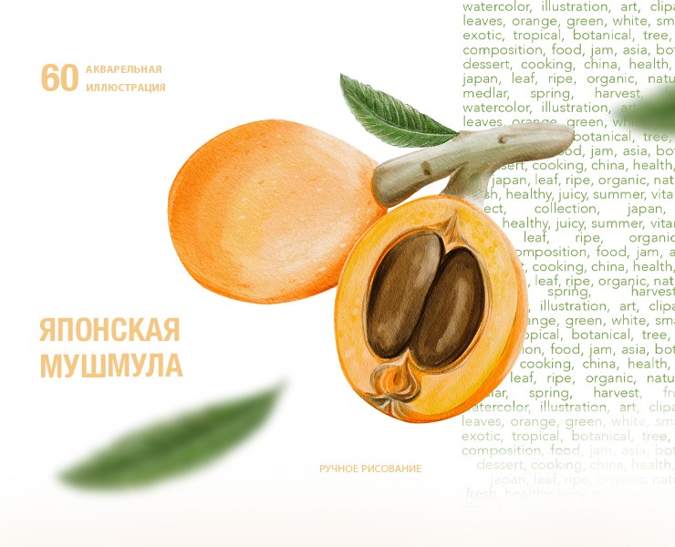 Японская мушмула на Dprofile