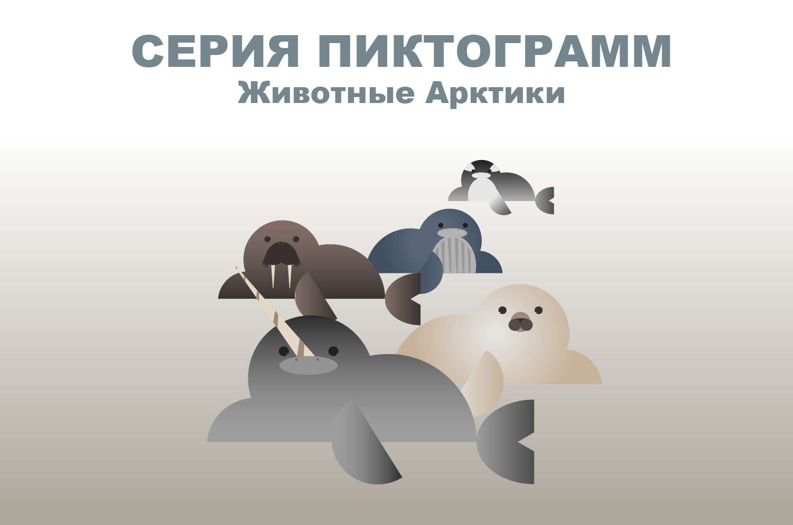 Серия анимированных пиктограмм(животные Арктики) — Изображение №1 — Иллюстрация, Графика на Dprofile
