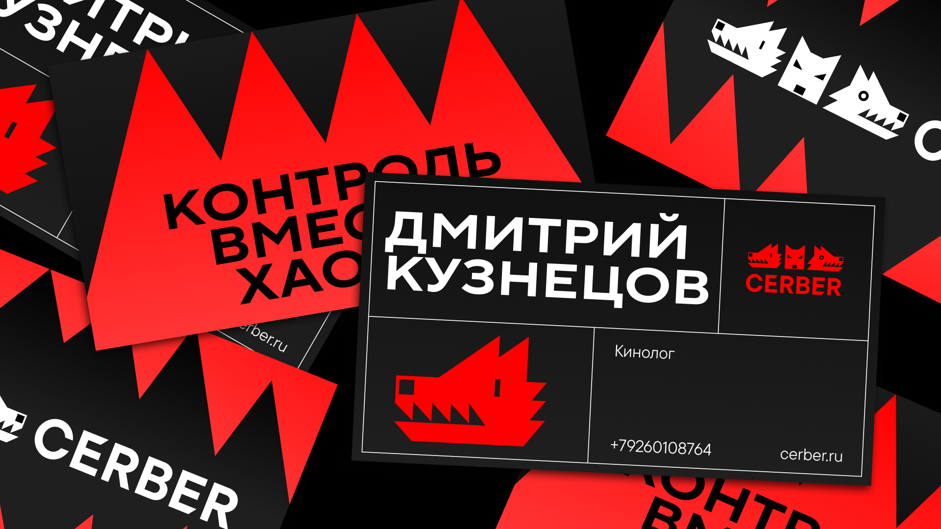 CERBER — Изображение №4 — Брендинг, Графика на Dprofile