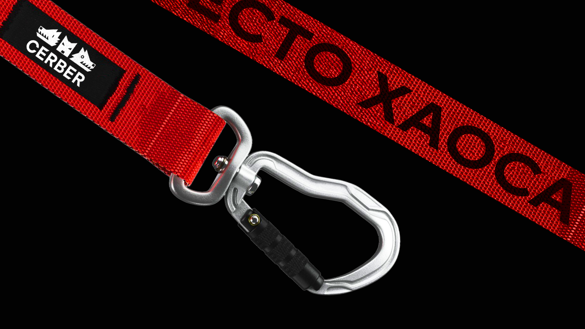 CERBER — Изображение №11 — Брендинг, Графика на Dprofile