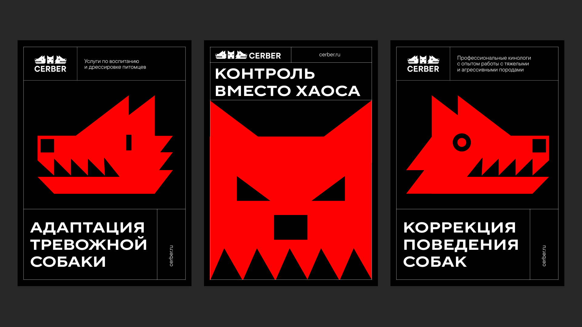 CERBER — Изображение №3 — Брендинг, Графика на Dprofile