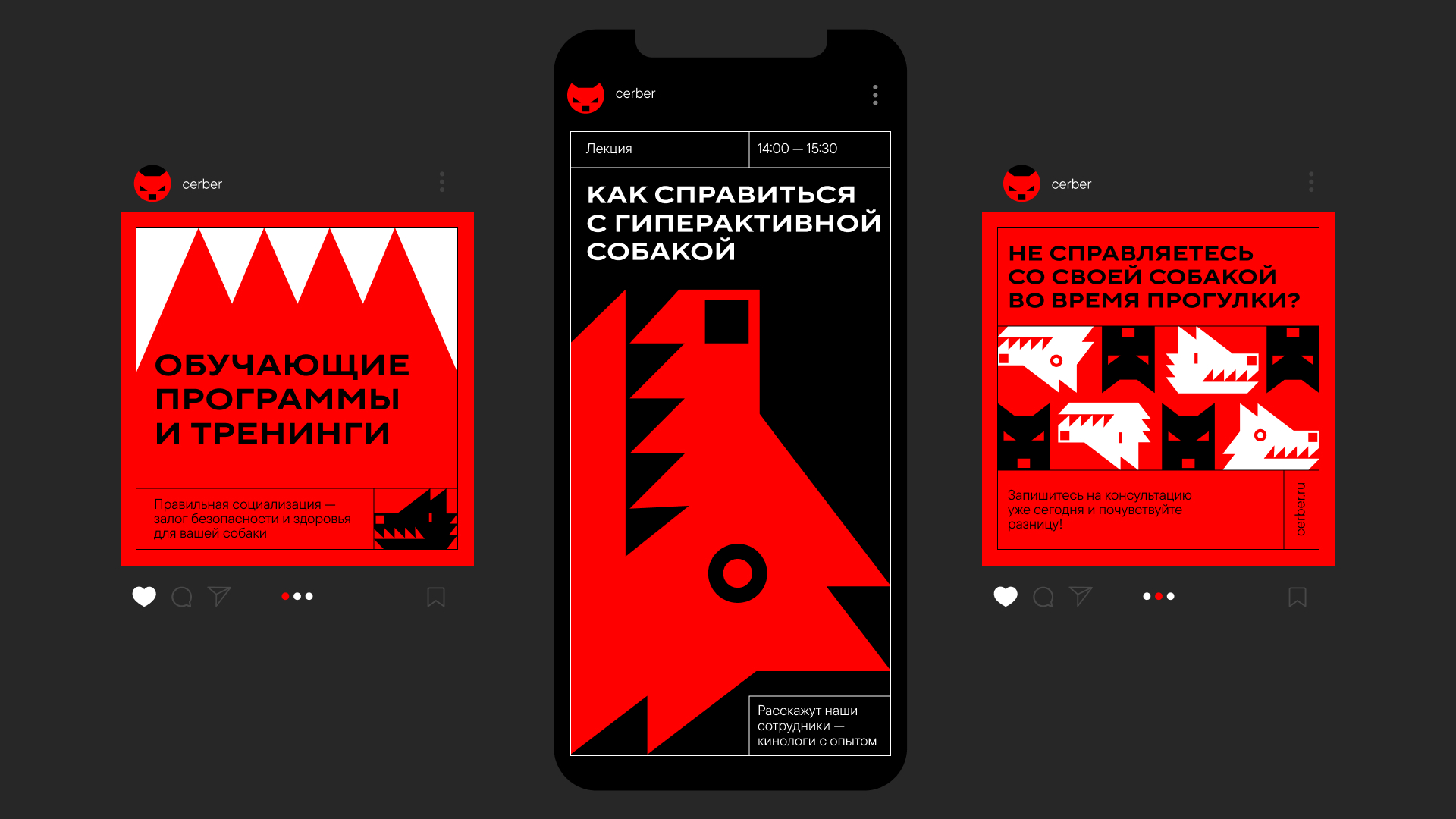 CERBER — Изображение №13 — Брендинг, Графика на Dprofile