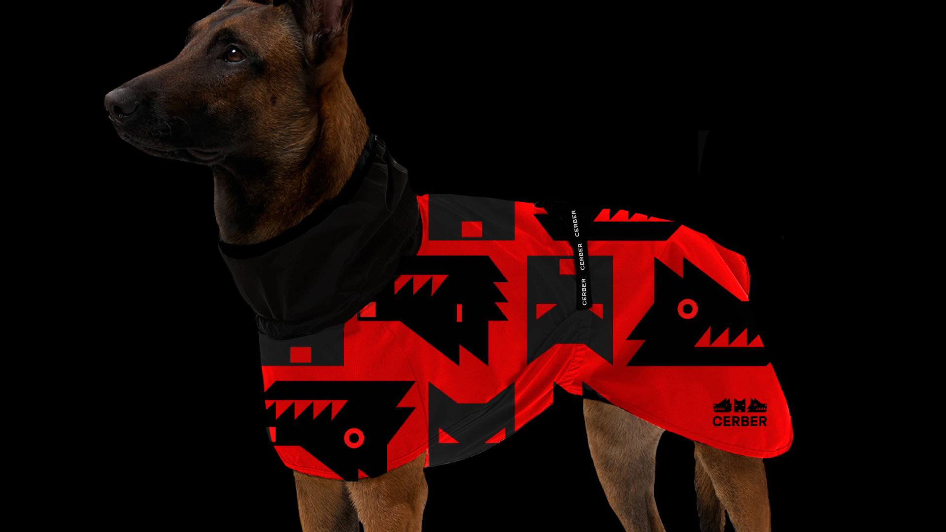 CERBER — Изображение №7 — Брендинг, Графика на Dprofile