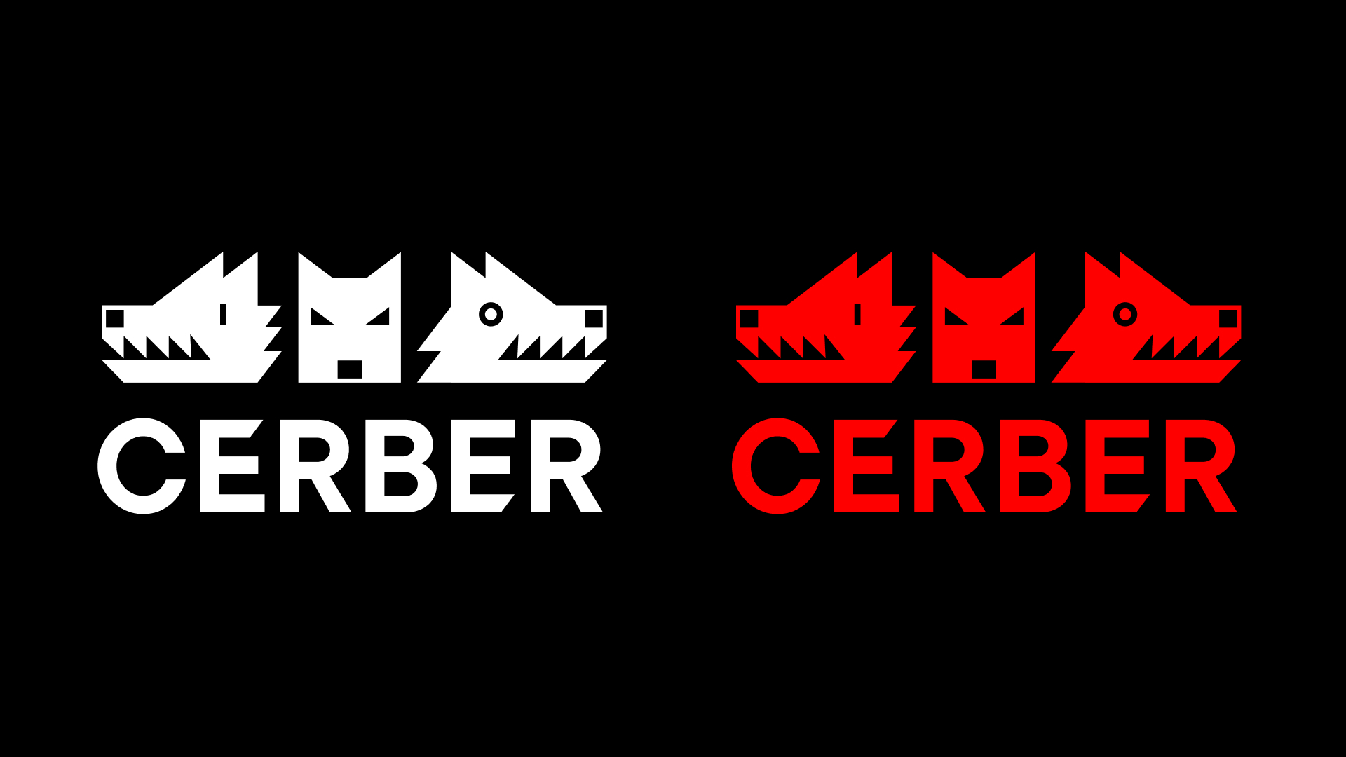 CERBER — Изображение №2 — Брендинг, Графика на Dprofile