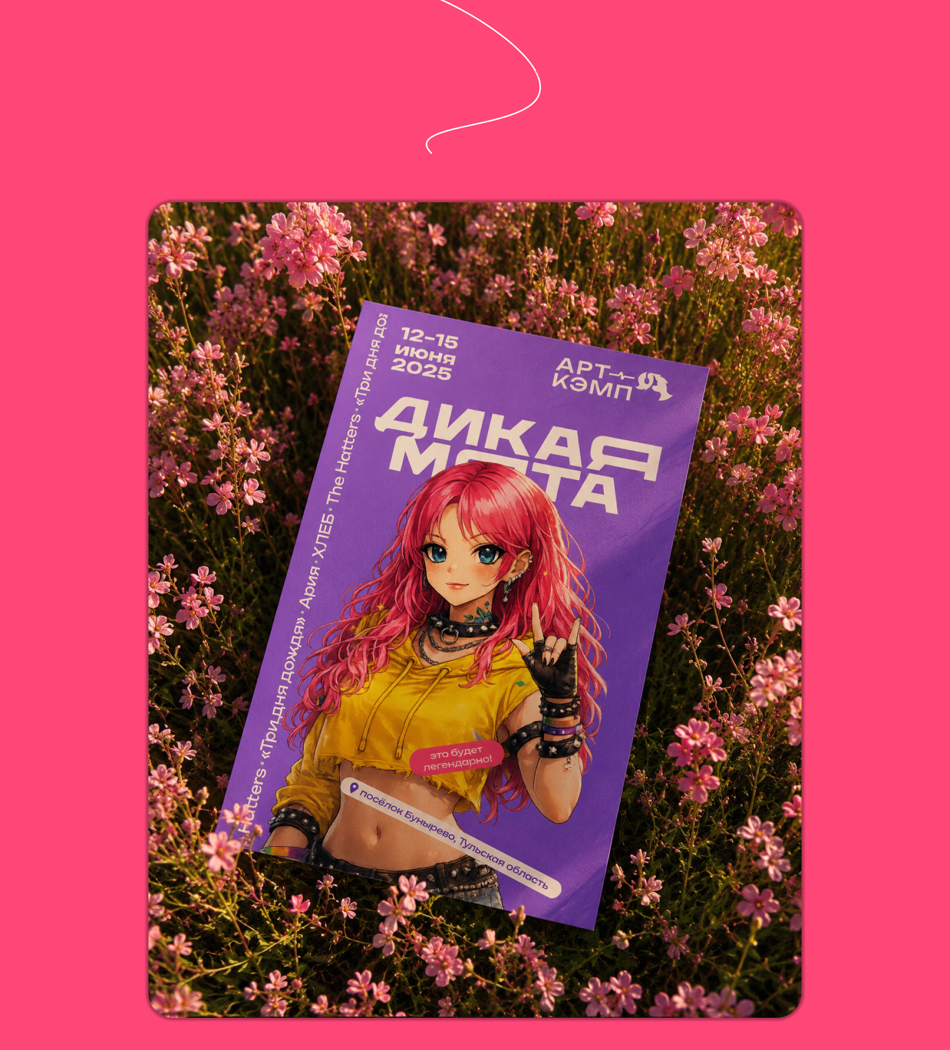 Афиша для фестиваля "Дикая Мята" — Изображение №6 — Графика на Dprofile