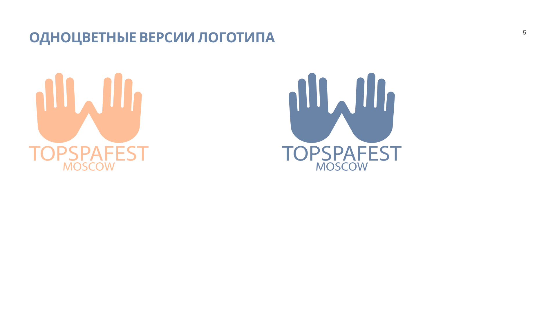 Брендбук TOPSPAFEST — Изображение №6 — Брендинг, Графика на Dprofile