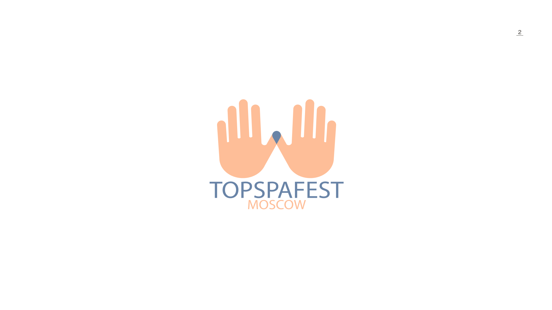 Брендбук TOPSPAFEST — Изображение №3 — Брендинг, Графика на Dprofile