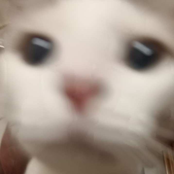 Аватар пользователя Анастасия Аникина