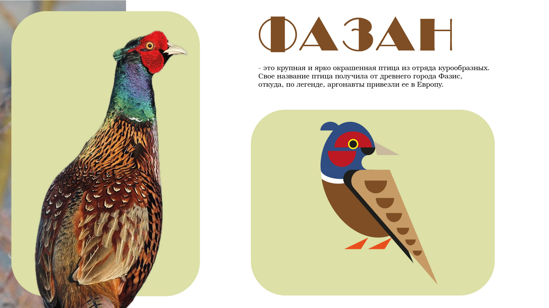 Серия пиктограмм — Изображение №8 — Графика, Анимация на Dprofile