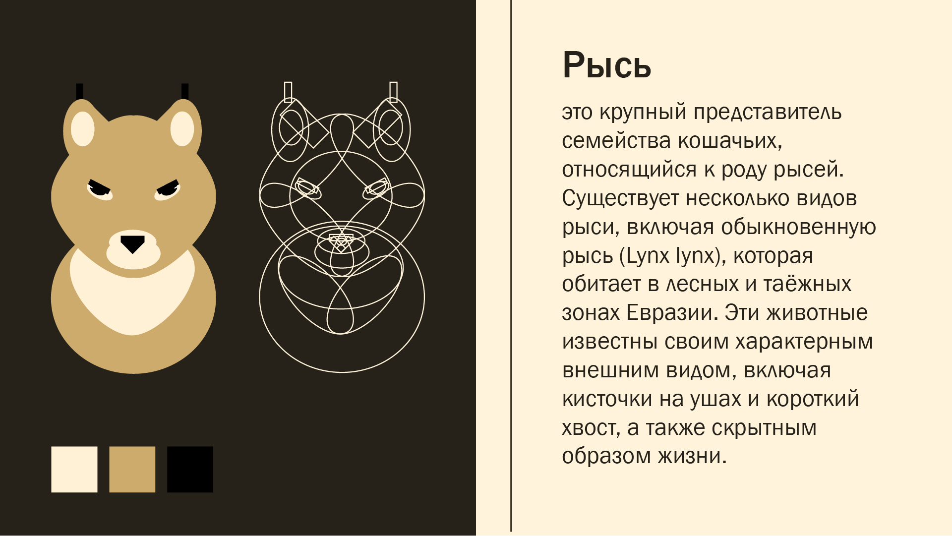 Серия анимированных пиктограмм — Изображение №2 — Графика, Анимация на Dprofile