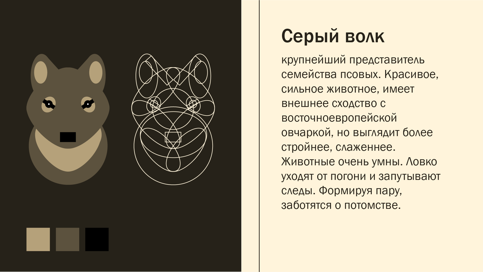 Серия анимированных пиктограмм — Изображение №6 — Графика, Анимация на Dprofile