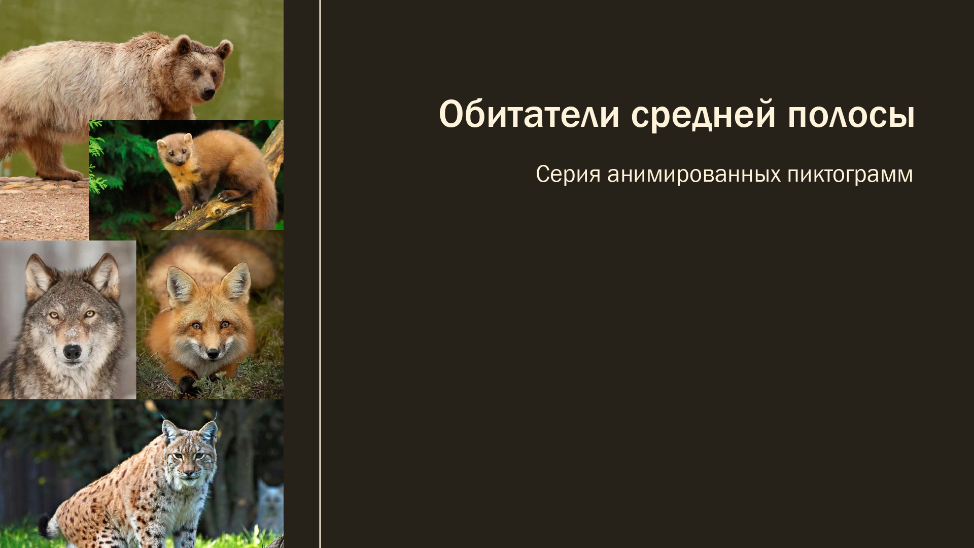 Серия анимированных пиктограмм — Изображение №1 — Графика, Анимация на Dprofile