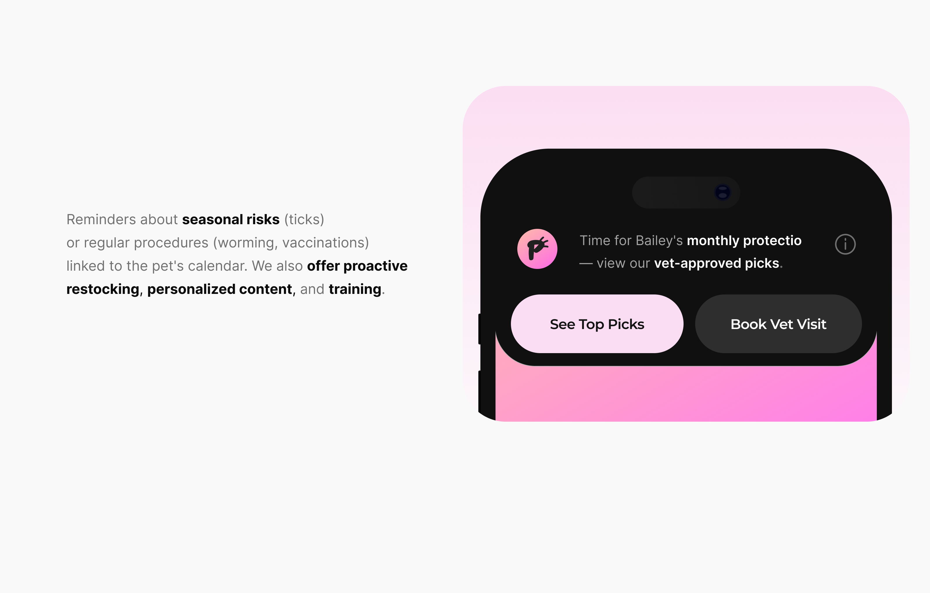UX UI Дизайн маркетплейса товаров для животных — Изображение №22 — Интерфейсы на Dprofile